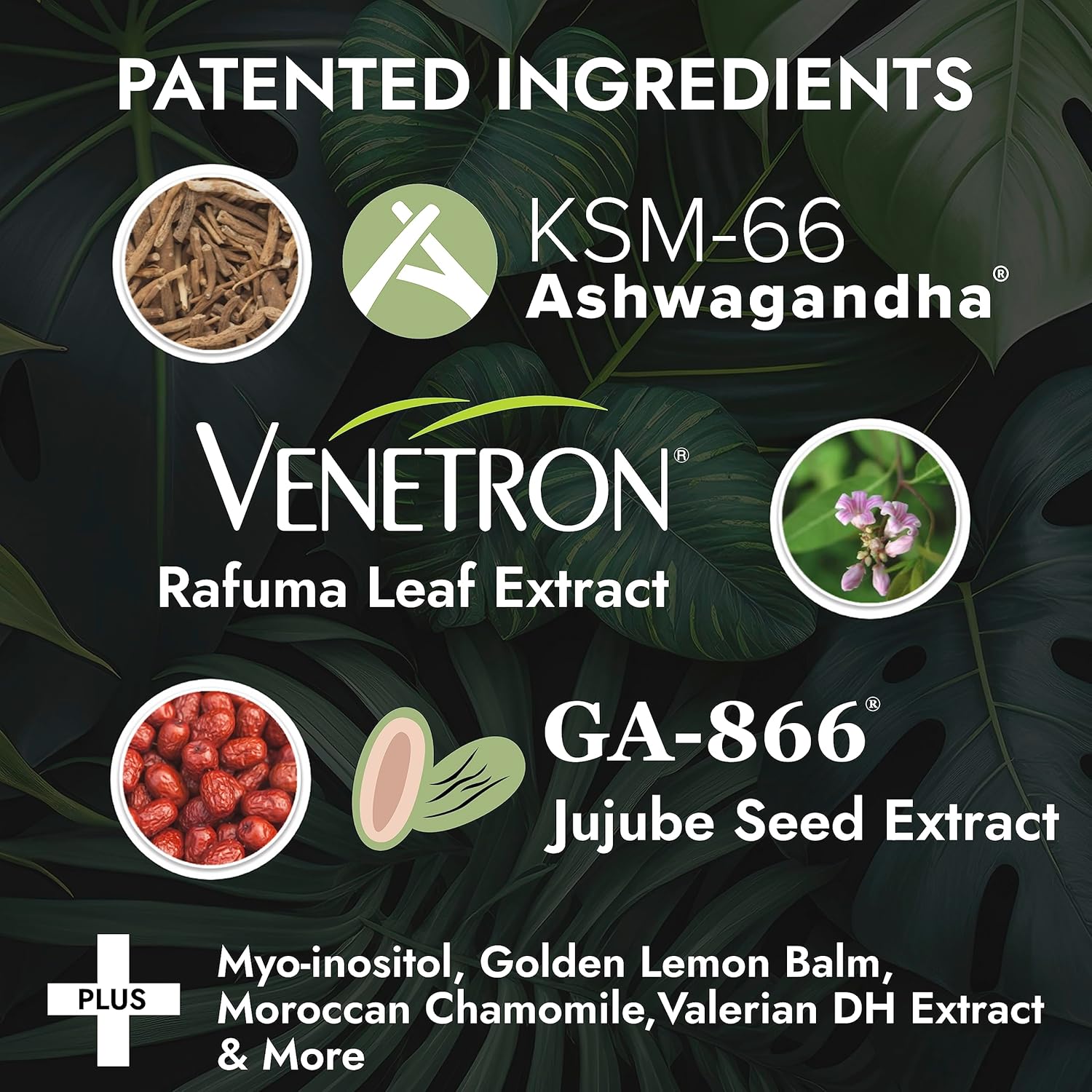 All Natural Stress Relief Supplement: Vita Supplements Peak Formula