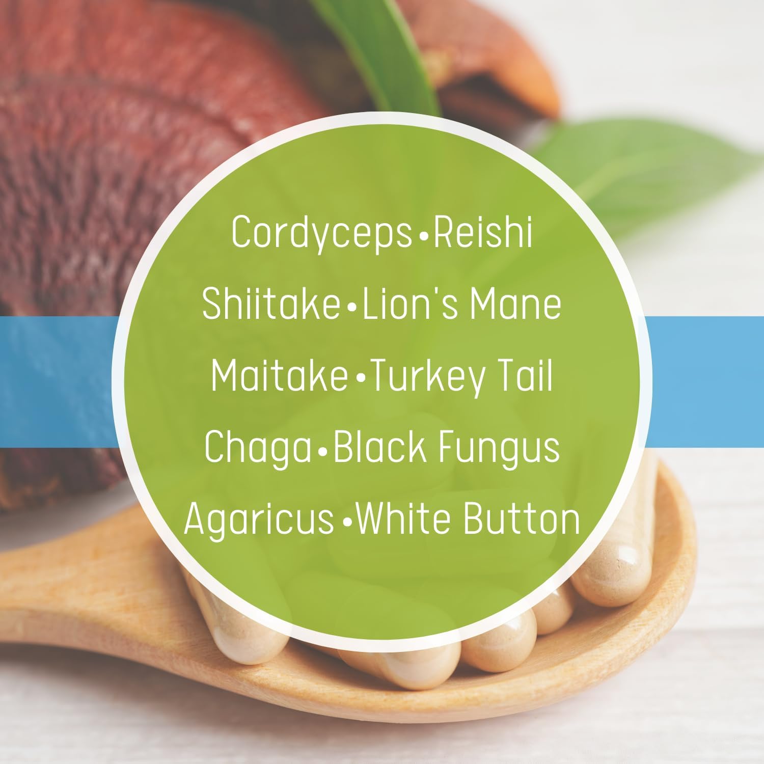 All Natural Vegan-Friendly 10 Mushroom Blend Complex Daily Health Extract - 180 Veg Capsules