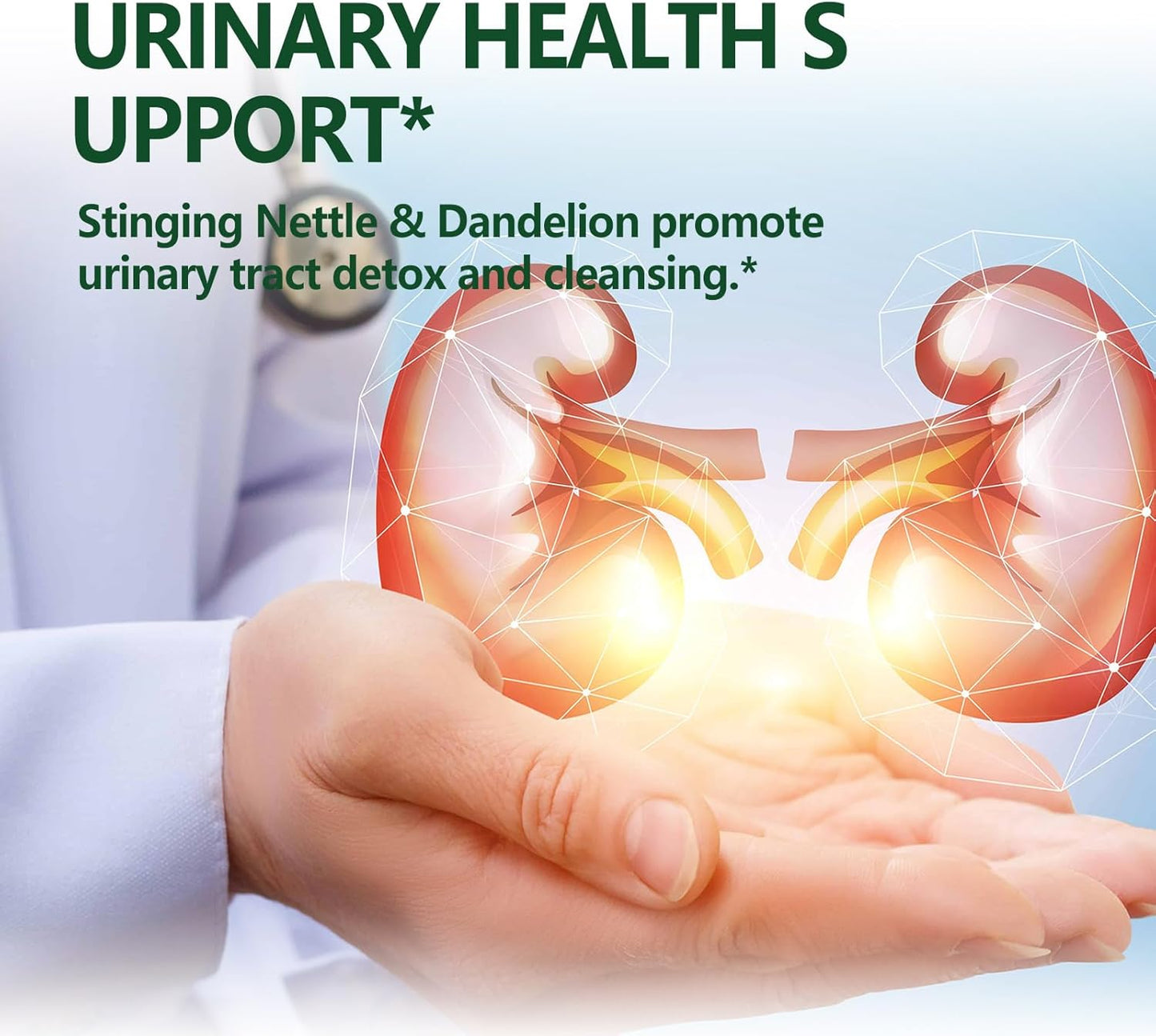 Allergy Support Herbal Drops with Stinging Nettle, Quercetin, Turmeric - 2oz for Urinary Health & Immunity Boost