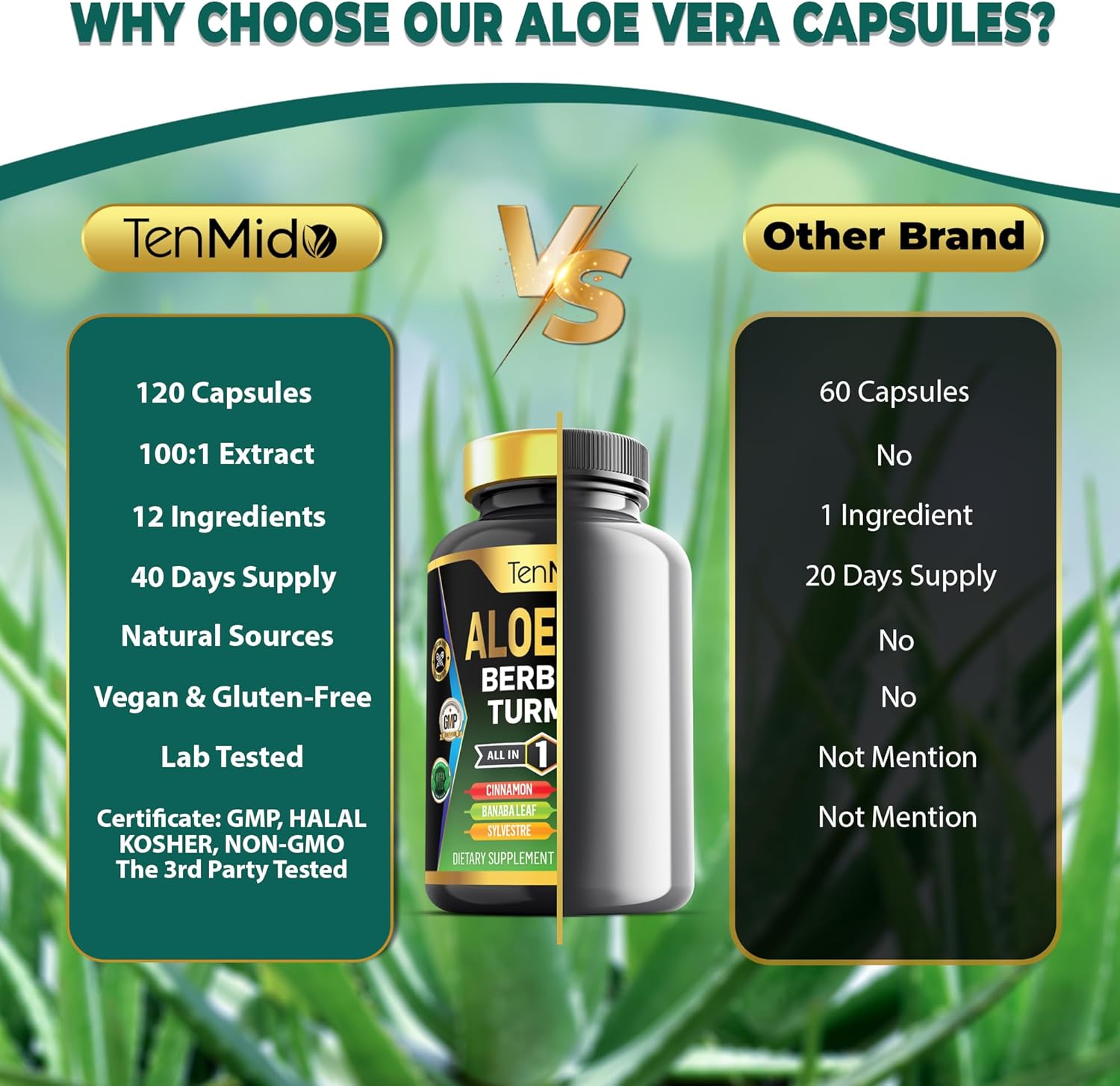 Aloe Vera Capsules Supplement with 12-in-1 Formula - Berberine, Turmeric, Ceylon Cinnamon, and More - 120 Capsules