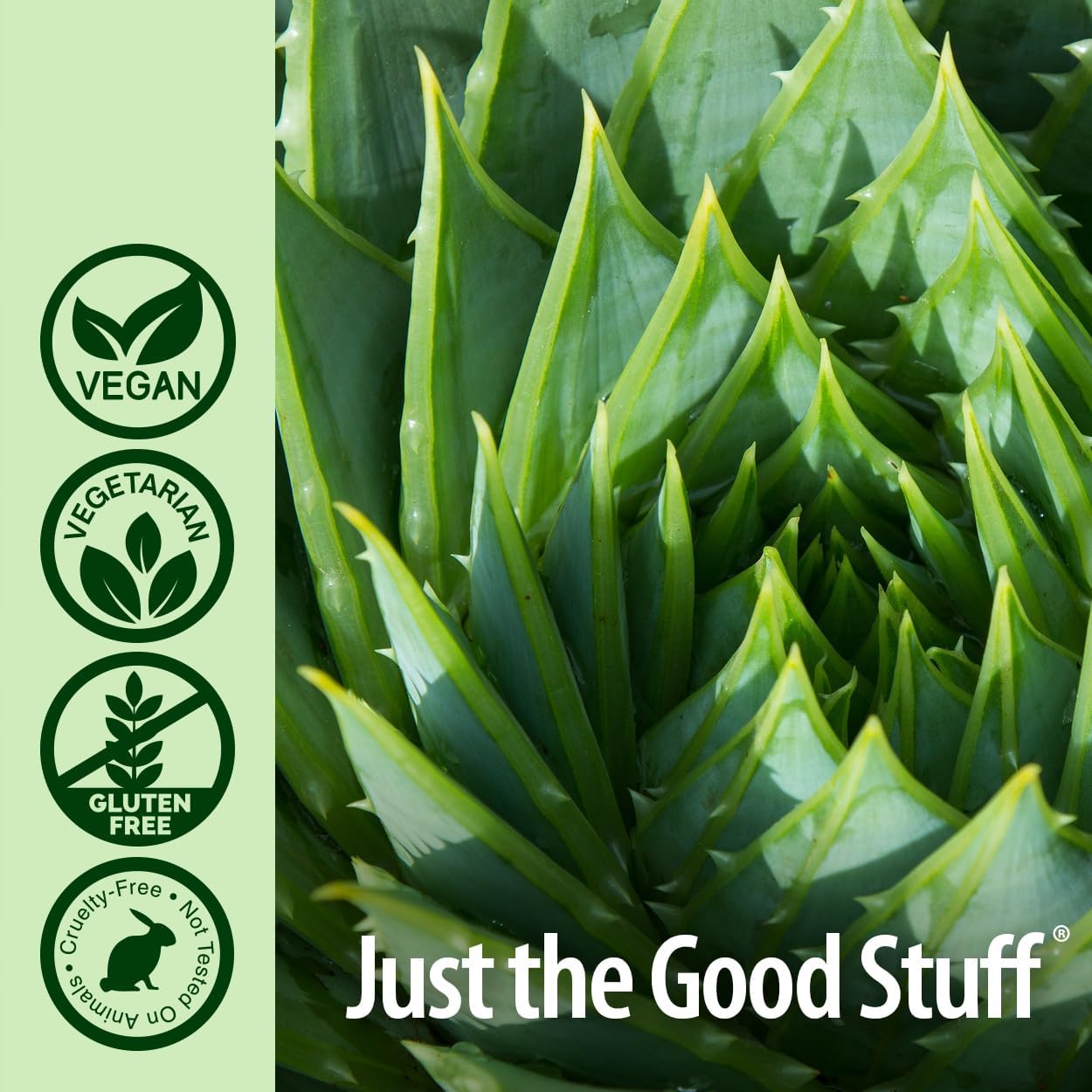 Aloe Vera Phytogel Capsules for Digestive Health | Vegan and Non-GMO | 90 Veggie Caps