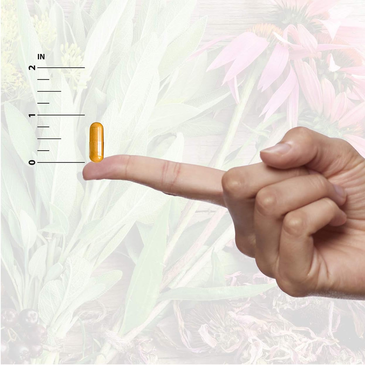 Aloe Vera Phytogel Capsules for Digestive Health | Vegan and Non-GMO | 90 Veggie Caps