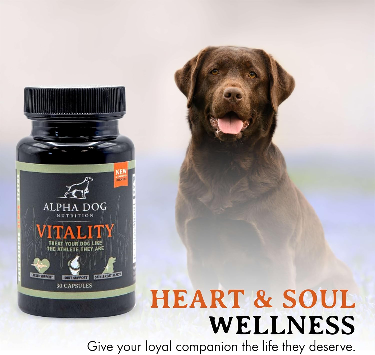 Alpha Dog Nutrition's Vitality Krill Oil for Dogs: Reduces Allergies, Itchiness, & Shedding - Supports Healthy Skin & Coat