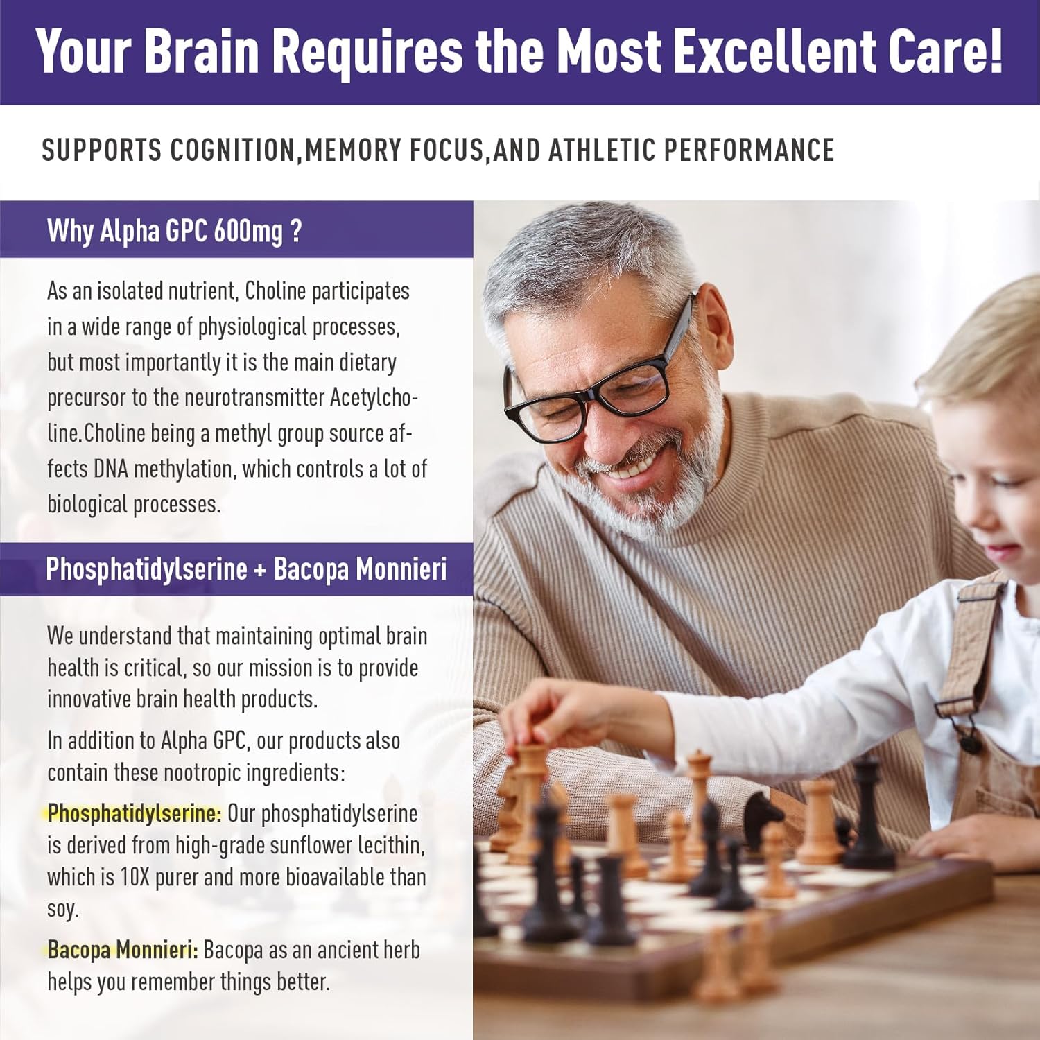 Alpha GPC and Phosphatidylserine Brain Gummies with Bacopa - Memory, Focus, and Brain Health Support, 600mg, 60 Count