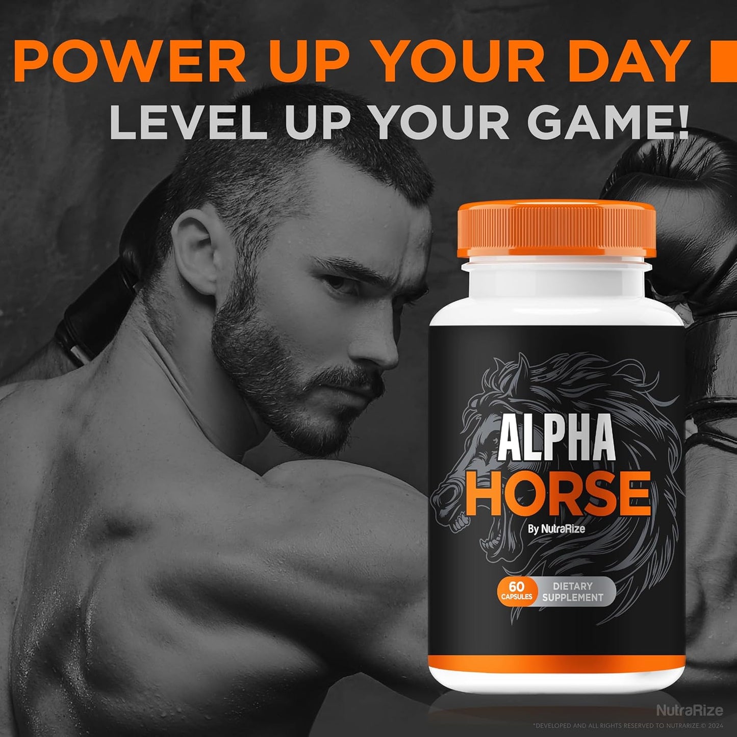 Alpha Horse Stamina & Performance Formula - 2 Pack (120 Capsules) Premium Daily Pills by AlphaHorse