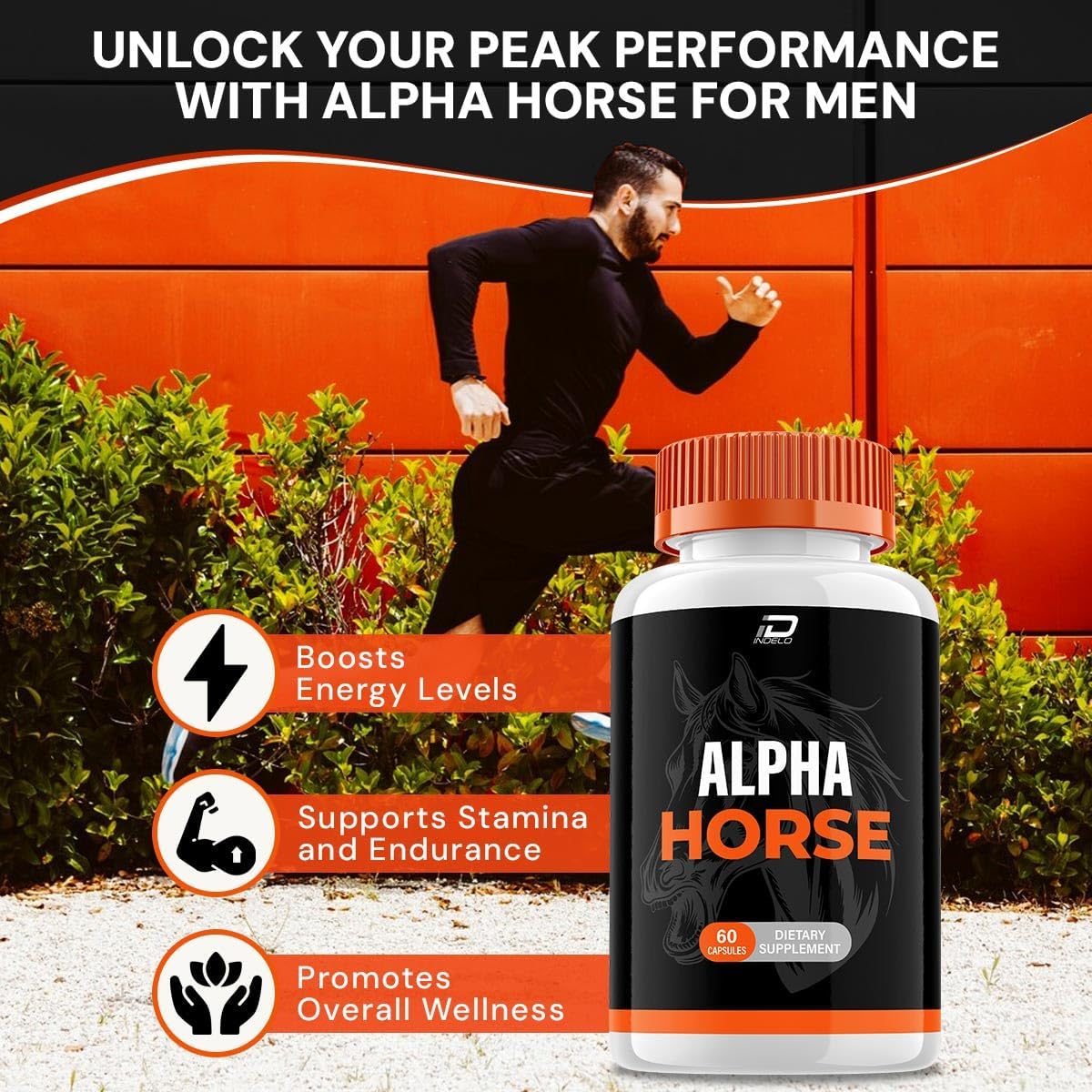 AlphaHorse Men's Vitamin Complex Capsules - 2 Pack (120 Capsules) - Official Dietary Supplement Formula for Natural Support