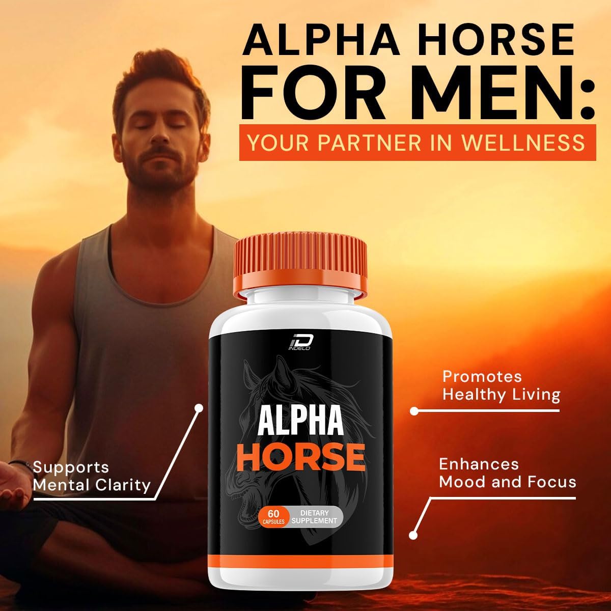 AlphaHorse Men's Vitamin Complex Capsules - 2 Pack (120 Capsules) - Official Dietary Supplement Formula for Natural Support