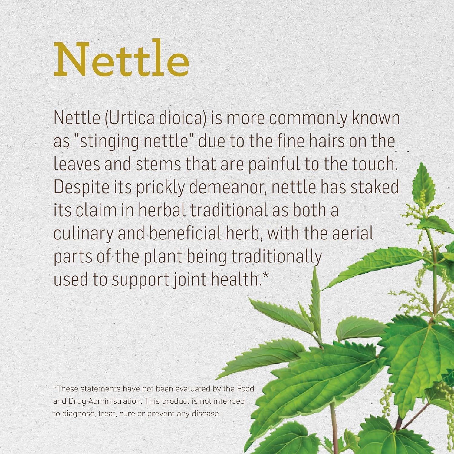 ALVITA Organic Nettle Tea - Herbal Stinging Nettle Leaf Tea for Cleansing, Detox, and Joint Health Support - 48 Tea Bags (3 Pack)