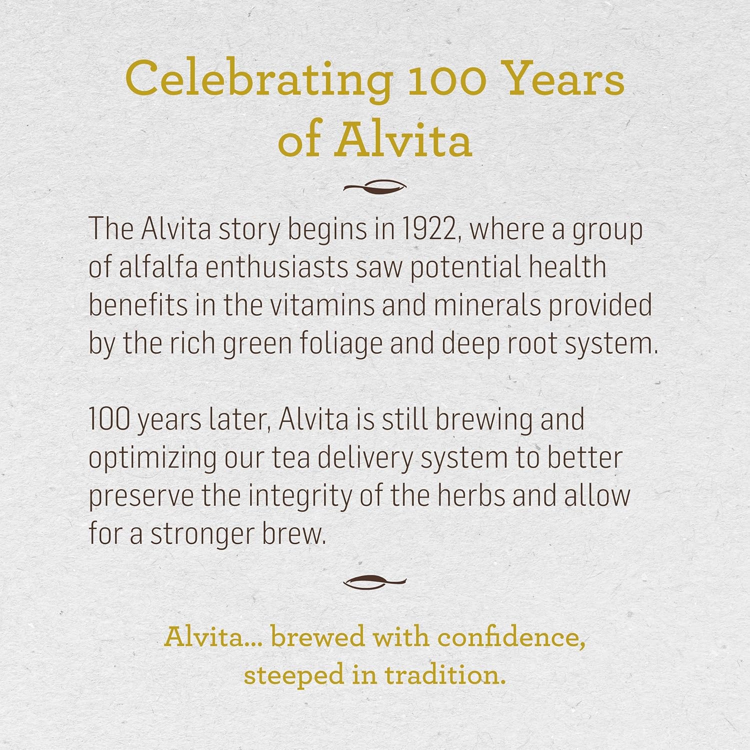 ALVITA Organic Nettle Tea - Herbal Stinging Nettle Leaf Tea for Cleansing, Detox, and Joint Health Support - 48 Tea Bags (3 Pack)