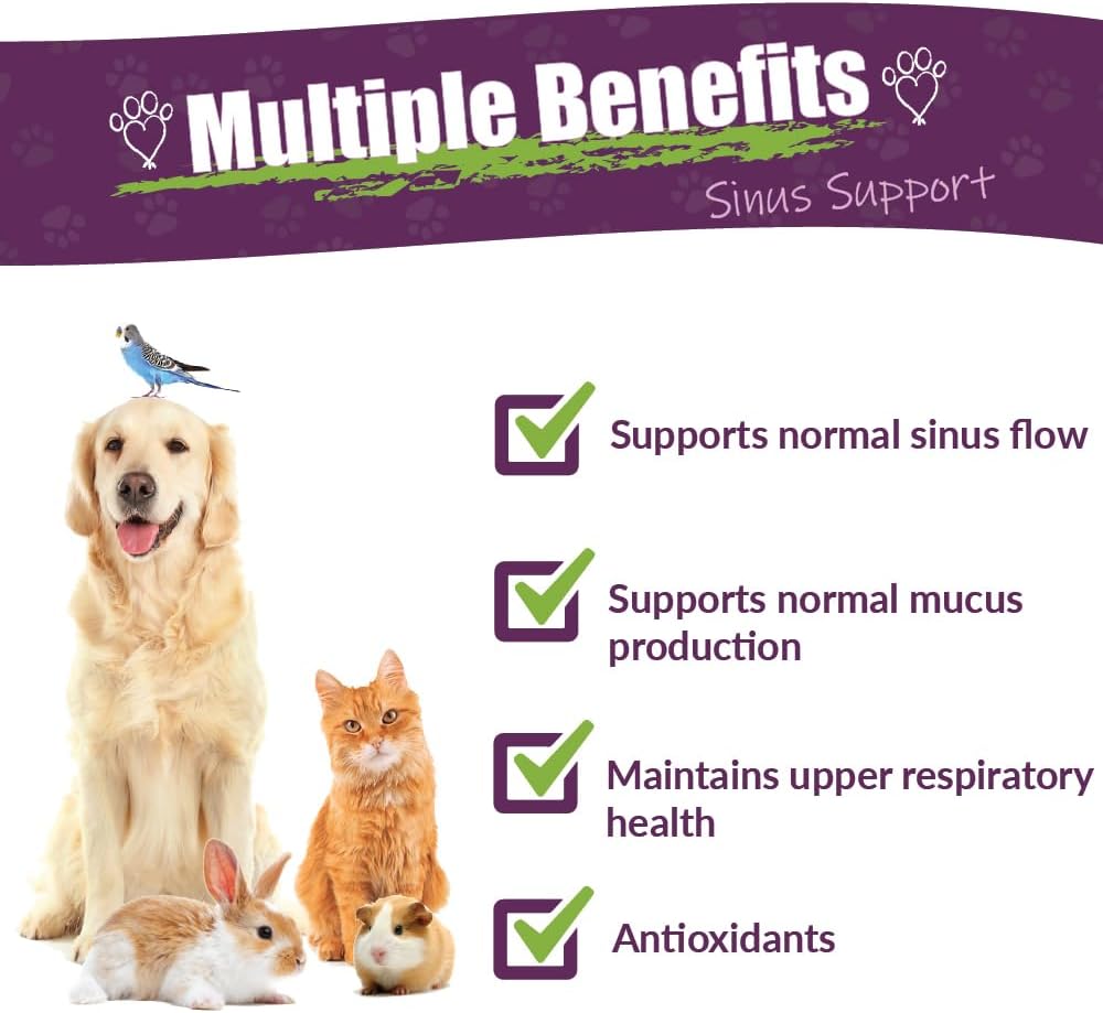 Amber NaturalZ Pet Herbal Supplement for Healthy Sinus - 1oz Glass Bottle - Made in USA - Dogs, Cats, Birds, Guinea Pigs, Rabbits