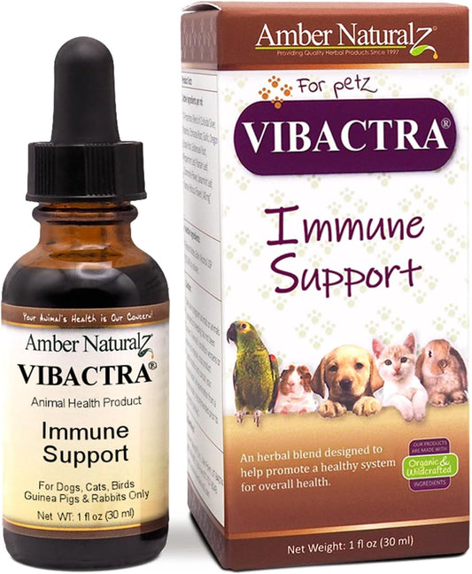 Amber NaturalZ Vibactra Herbal Supplement for Pets | Immune Support for Dogs, Cats, Birds, Guinea Pigs, and Rabbits | 1oz Glass Bottle | Made in USA
