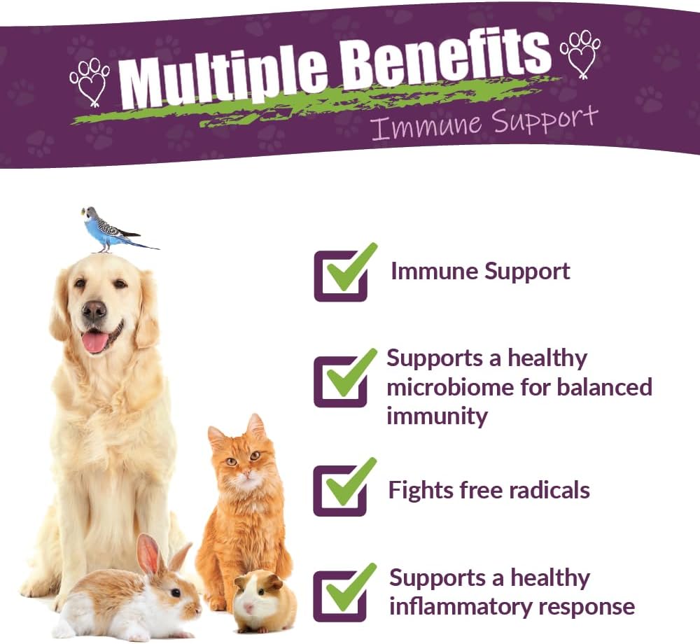 Amber NaturalZ Vibactra Herbal Supplement for Pets | Immune Support for Dogs, Cats, Birds, Guinea Pigs, and Rabbits | 1oz Glass Bottle | Made in USA