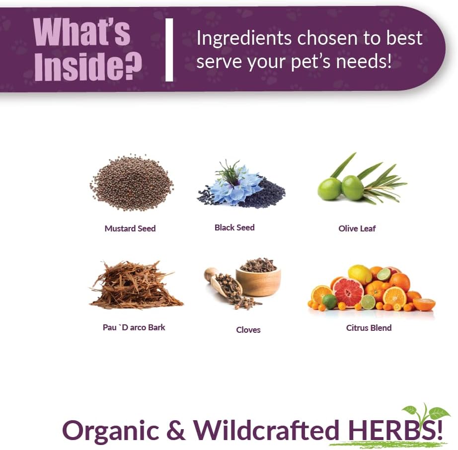 Amber NaturalZ Vibactra Herbal Supplement for Pets | Immune Support for Dogs, Cats, Birds, Guinea Pigs, and Rabbits | 1oz Glass Bottle | Made in USA