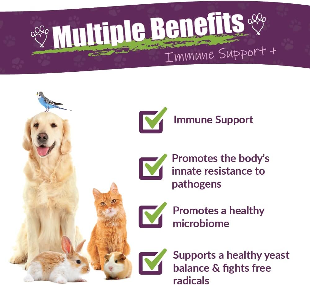 Amber NaturalZ Vibactra Plus Herbal Supplement for Pets | Immune Support and Yeast Balance | 1 oz Glass Bottle | Made in USA