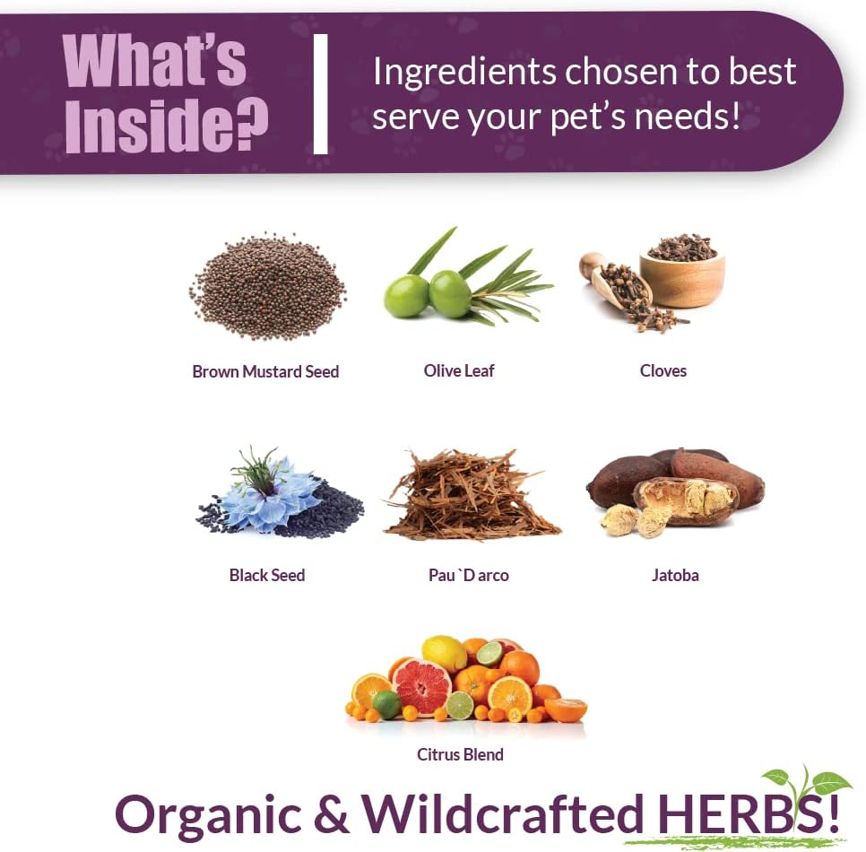 Amber NaturalZ Vibactra Plus Herbal Supplement for Pets | Immune Support and Yeast Balance | 1 oz Glass Bottle | Made in USA