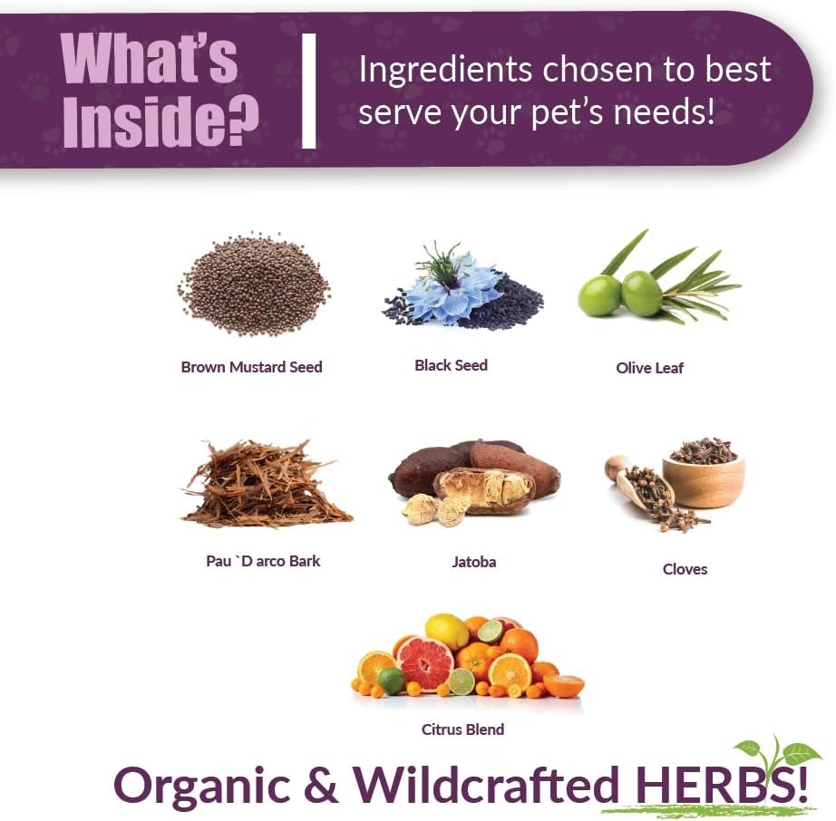 Amber NaturalZ Vibactra Plus Herbal Supplement for Pets | Immune Health Support | 4oz Glass Bottle | Made in USA