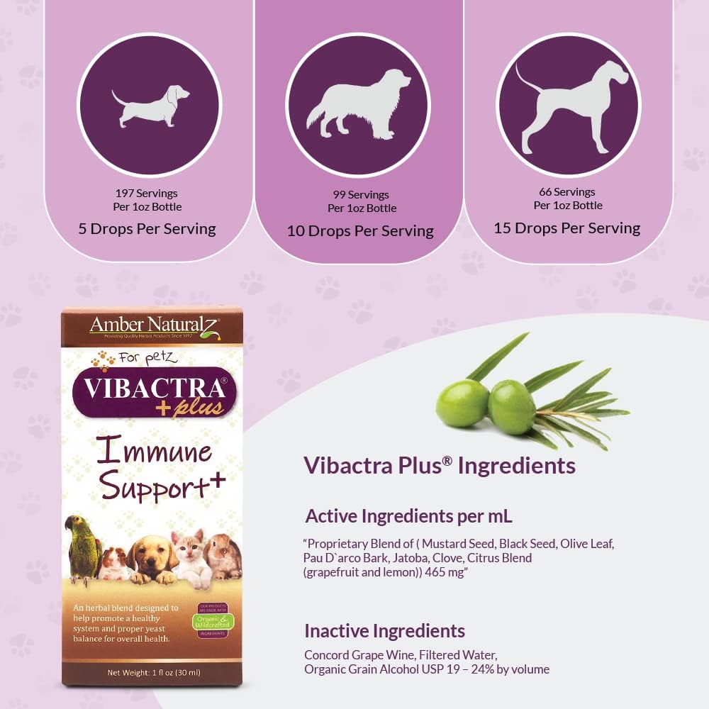 Amber NaturalZ Vibactra Plus Herbal Supplement for Pets | Immune Support and Yeast Balance | 1 oz Glass Bottle | Made in USA