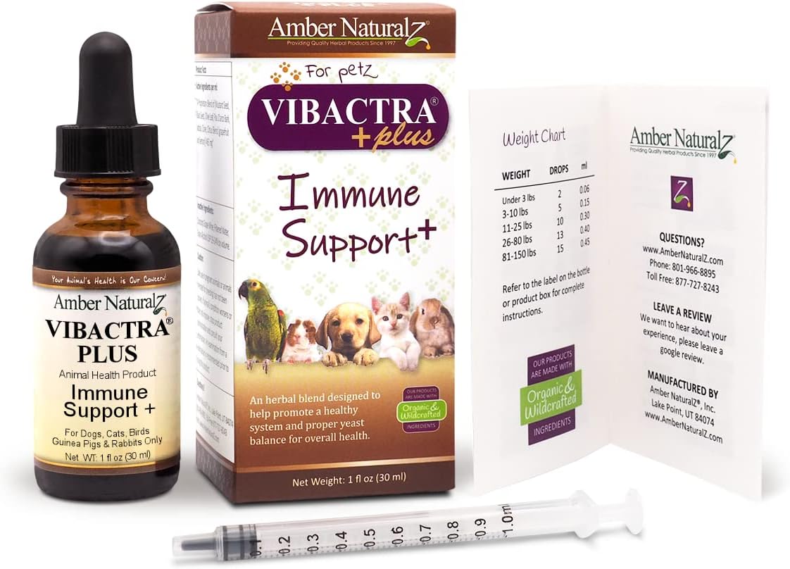Amber NaturalZ Vibactra Plus Herbal Supplement for Pets | Immune Support and Yeast Balance | 1 oz Glass Bottle | Made in USA