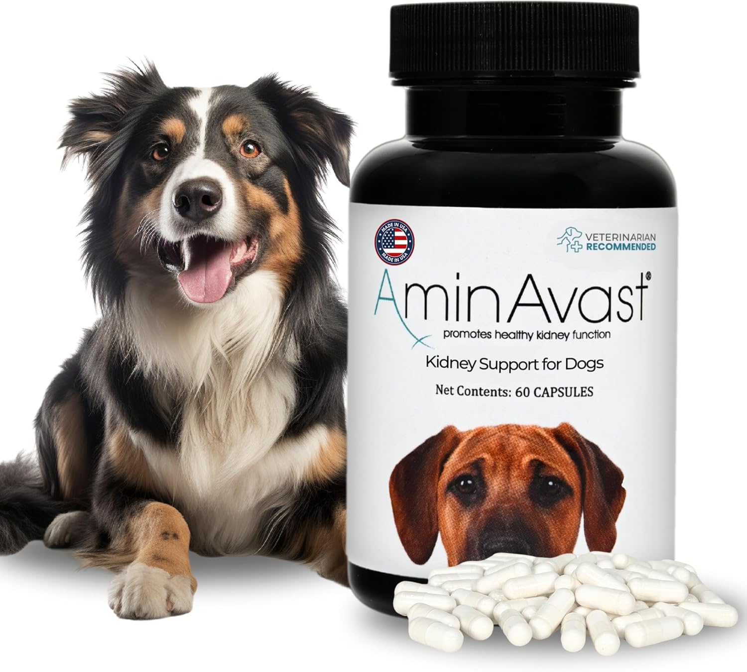 AminAvast Dog Kidney Supplement - Supports Aging Kidney Health - Promotes Natural Kidney Function - Pet-Friendly, 1000mg, 60 Capsules
