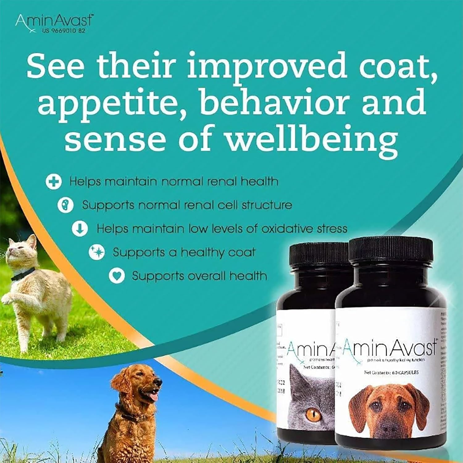 AminAvast Dog Kidney Supplement - Supports Aging Kidney Health - Promotes Natural Kidney Function - Pet-Friendly, 1000mg, 60 Capsules