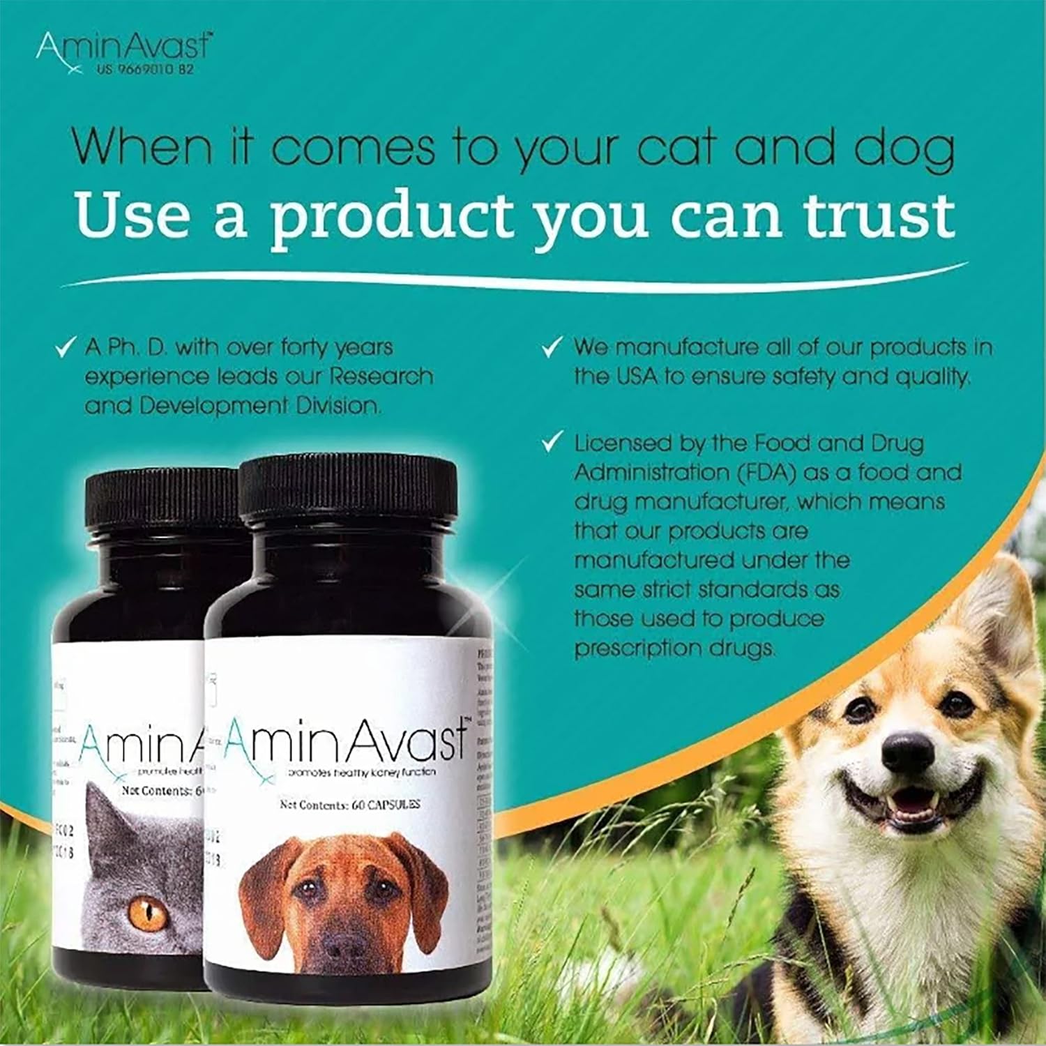 AminAvast Dog Kidney Supplement - Supports Aging Kidney Health - Promotes Natural Kidney Function - Pet-Friendly, 1000mg, 60 Capsules