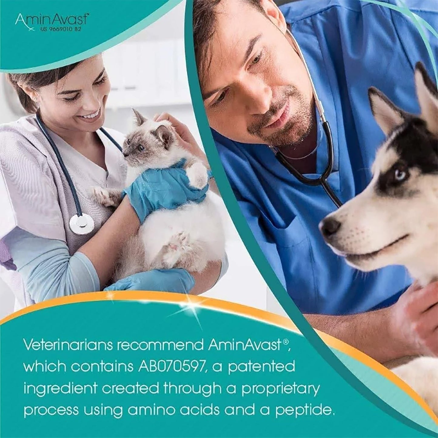AminAvast Dog Kidney Supplement - Supports Aging Kidney Health - Promotes Natural Kidney Function - Pet-Friendly, 1000mg, 60 Capsules