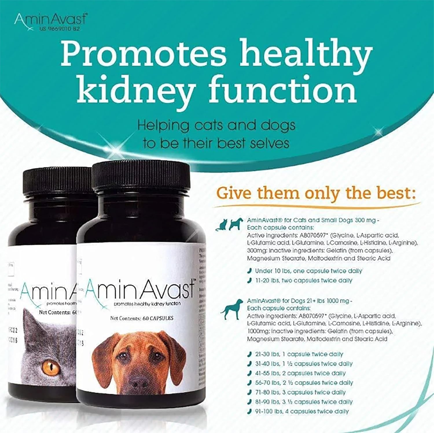AminAvast Dog Kidney Supplement - Supports Aging Kidney Health - Promotes Natural Kidney Function - Pet-Friendly, 1000mg, 60 Capsules