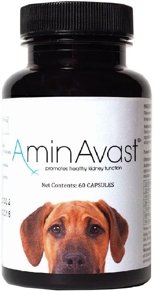 AminAvast Dog Kidney Supplement - Supports Aging Kidney Health - Promotes Natural Kidney Function - Pet-Friendly, 1000mg, 60 Capsules