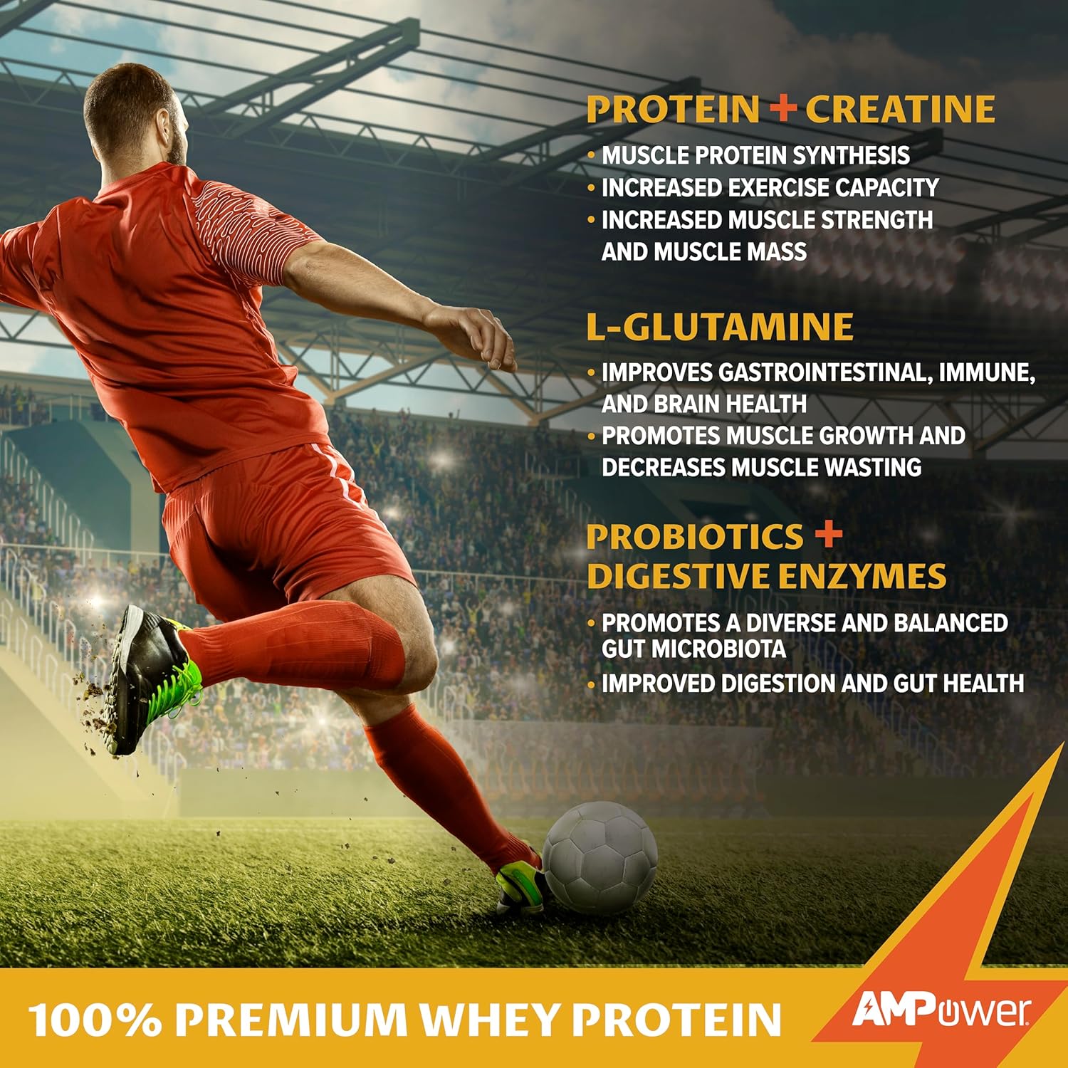 AMPOWER Rich Chocolate Whey Protein Powder with Muscle-Building Ingredients for Gut, Brain, and Immune Support - 38.9oz