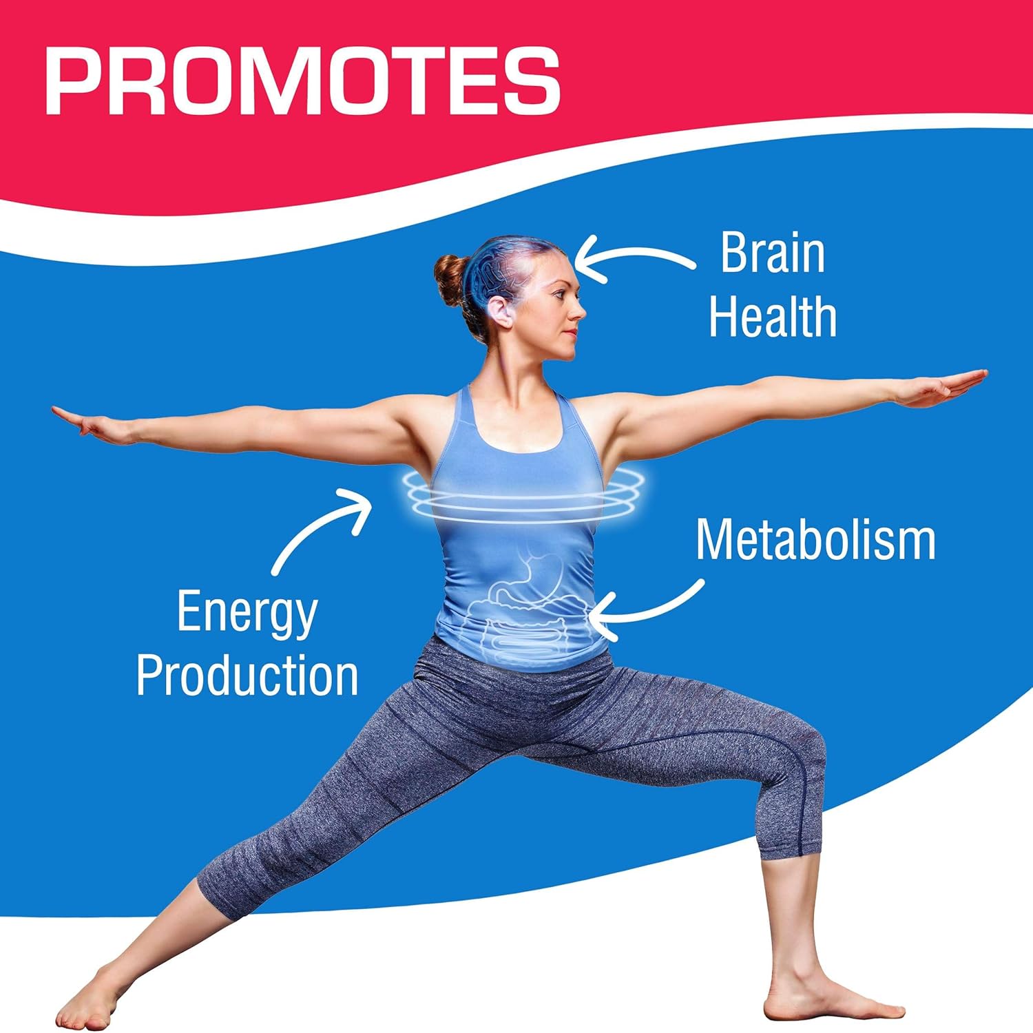 Anabolic Laboratories Acetyl L Carnitine Capsules - 30 Vegetarian 500mg Supplements for Brain Health and Energy Boost