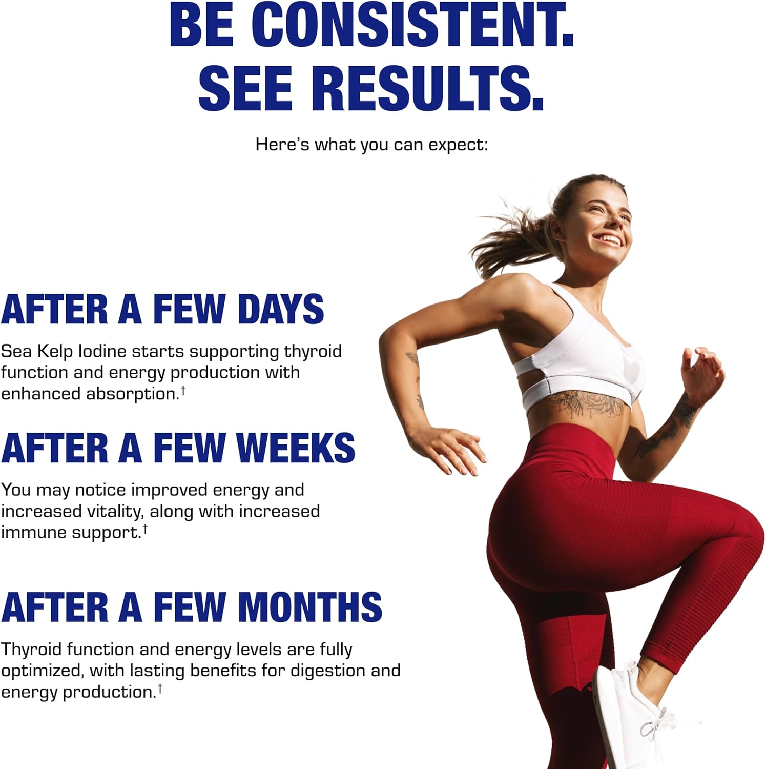 Anabolic Laboratories Sea Kelp Iodine Supplement - High Absorption Clinical Grade Thyroid Support for Energy Metabolism - Vegetarian Non-GMO Tablets (100 Servings)