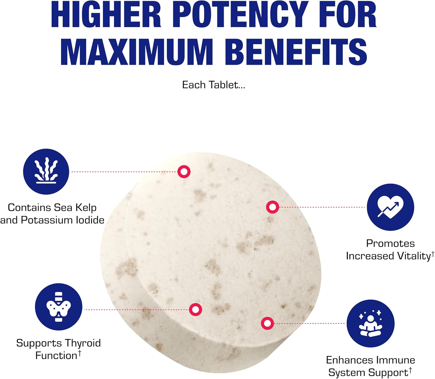 Anabolic Laboratories Sea Kelp Iodine Supplement - High Absorption Clinical Grade Thyroid Support for Energy Metabolism - Vegetarian Non-GMO Tablets (100 Servings)