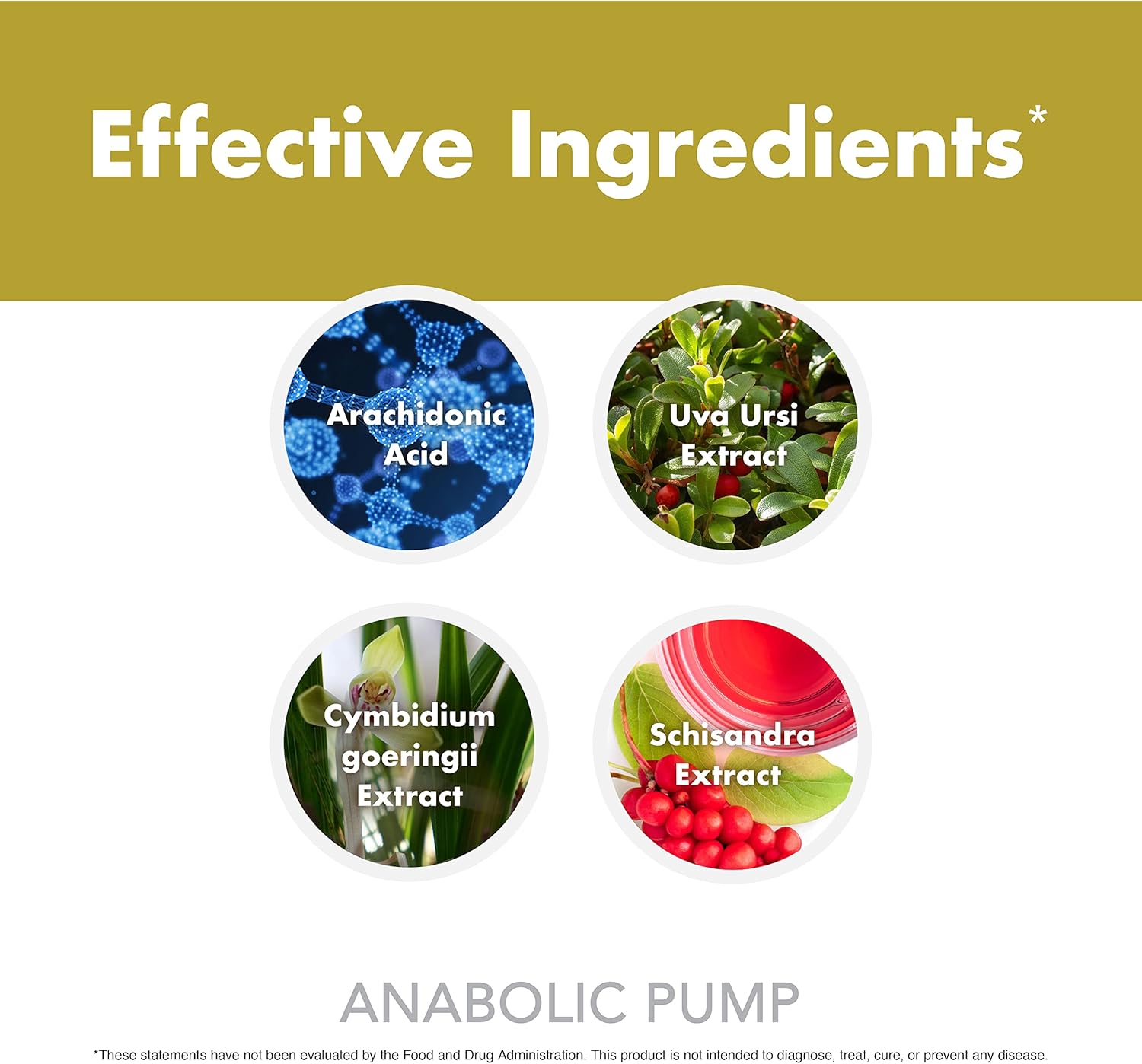 Anabolic Warfare Anabolic Pump - 90 Capsules, Advanced Formula for Muscle Pumps and Nutrient Delivery
