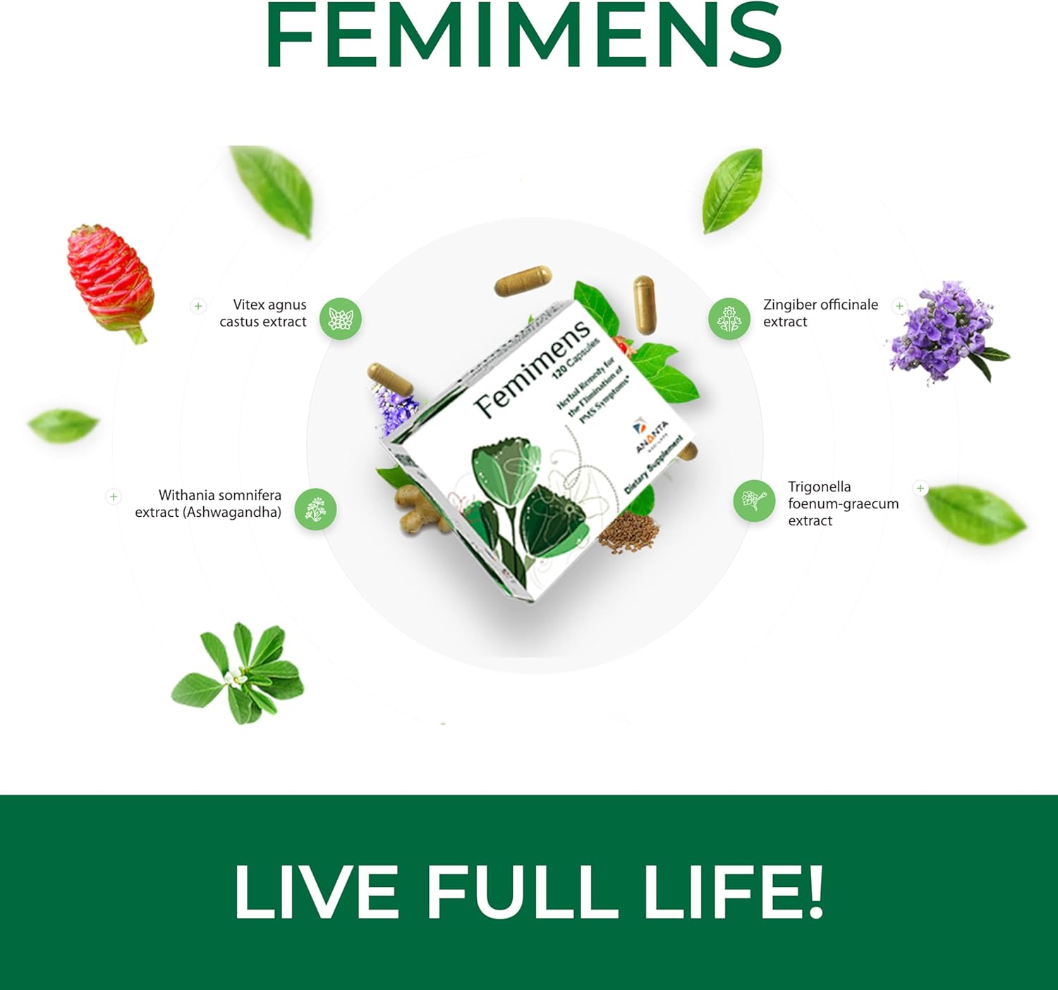 Ananta Medicare FEMIMENS Herbal Dietary Supplement 120 Capsules for PMS Symptom Relief