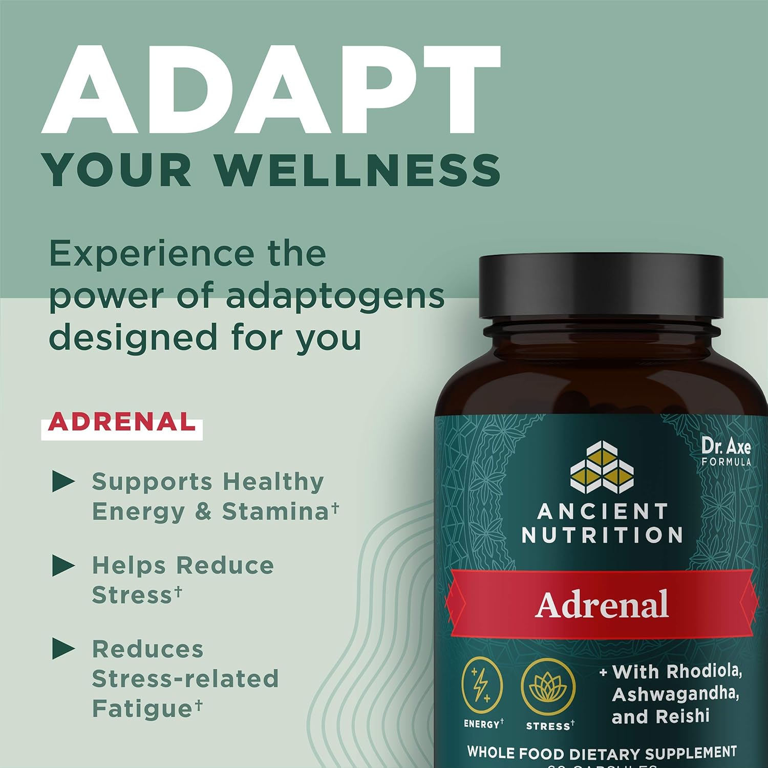 Ancient Nutrition Adrenal Support Supplement with Ashwagandha - Reduce Stress & Fatigue - Paleo, Keto, Gluten Free - 1300mg, 60 Capsules