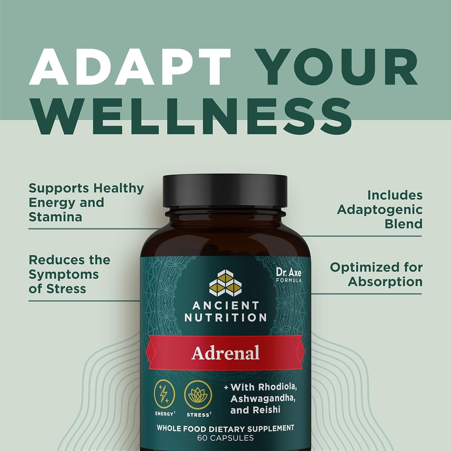 Ancient Nutrition Adrenal Support Supplement with Ashwagandha - Reduce Stress & Fatigue - Paleo, Keto, Gluten Free - 1300mg, 60 Capsules