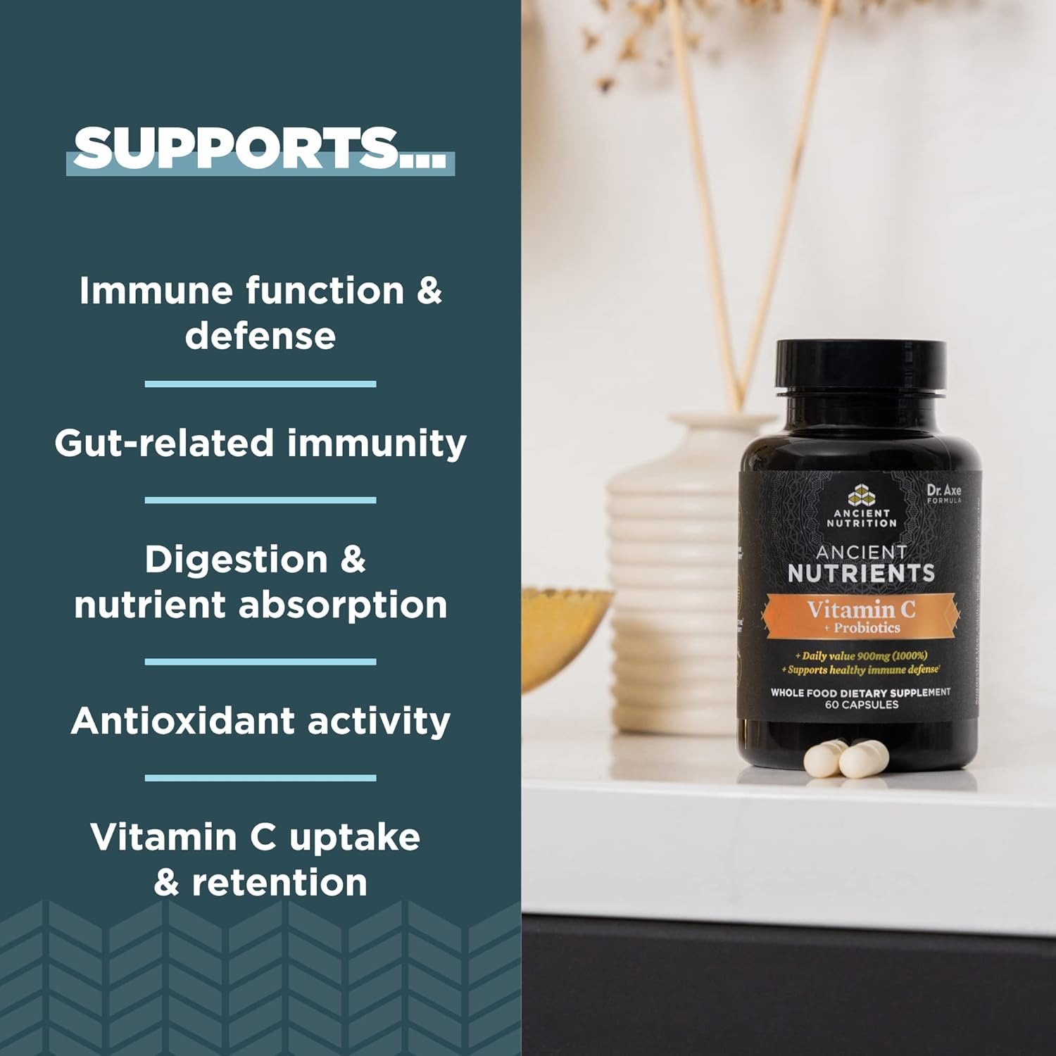 Ancient Nutrition Probiotics and Vitamin C Supplement for Healthy Immune System and Gut Health, GMO-Free Superfoods, Paleo & Keto Friendly