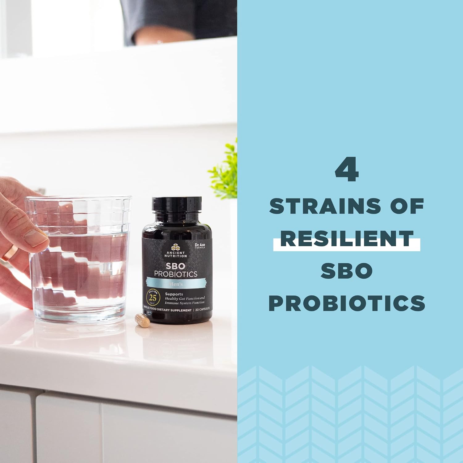 Ancient Nutrition SBO Probiotics Men's 60 Ct - Gut Health & Immune Support, 25 Billion CFUs * - Boosts Muscle Mass & Fat Metabolism