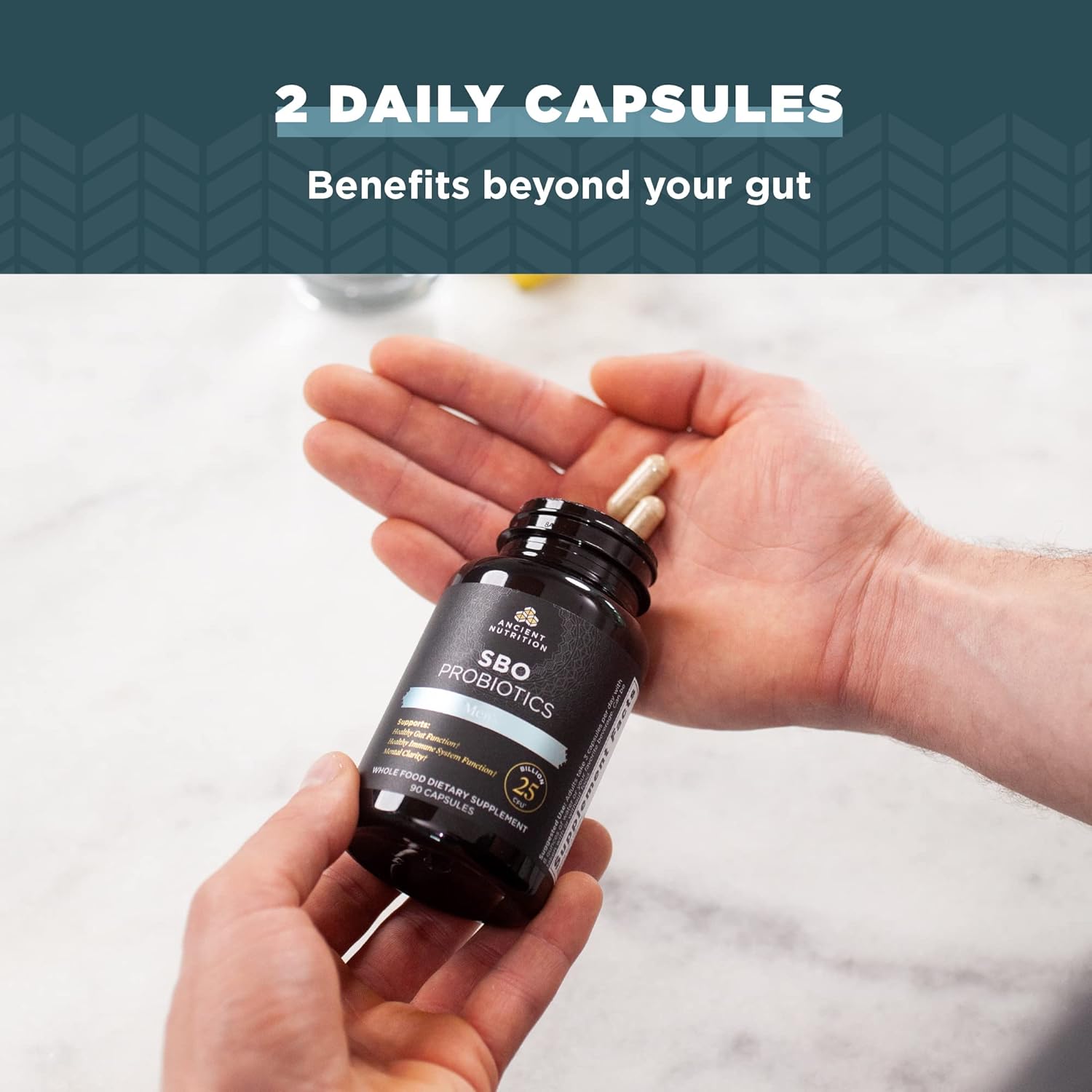 Ancient Nutrition SBO Probiotics Men's 60 Ct - Gut Health & Immune Support, 25 Billion CFUs * - Boosts Muscle Mass & Fat Metabolism