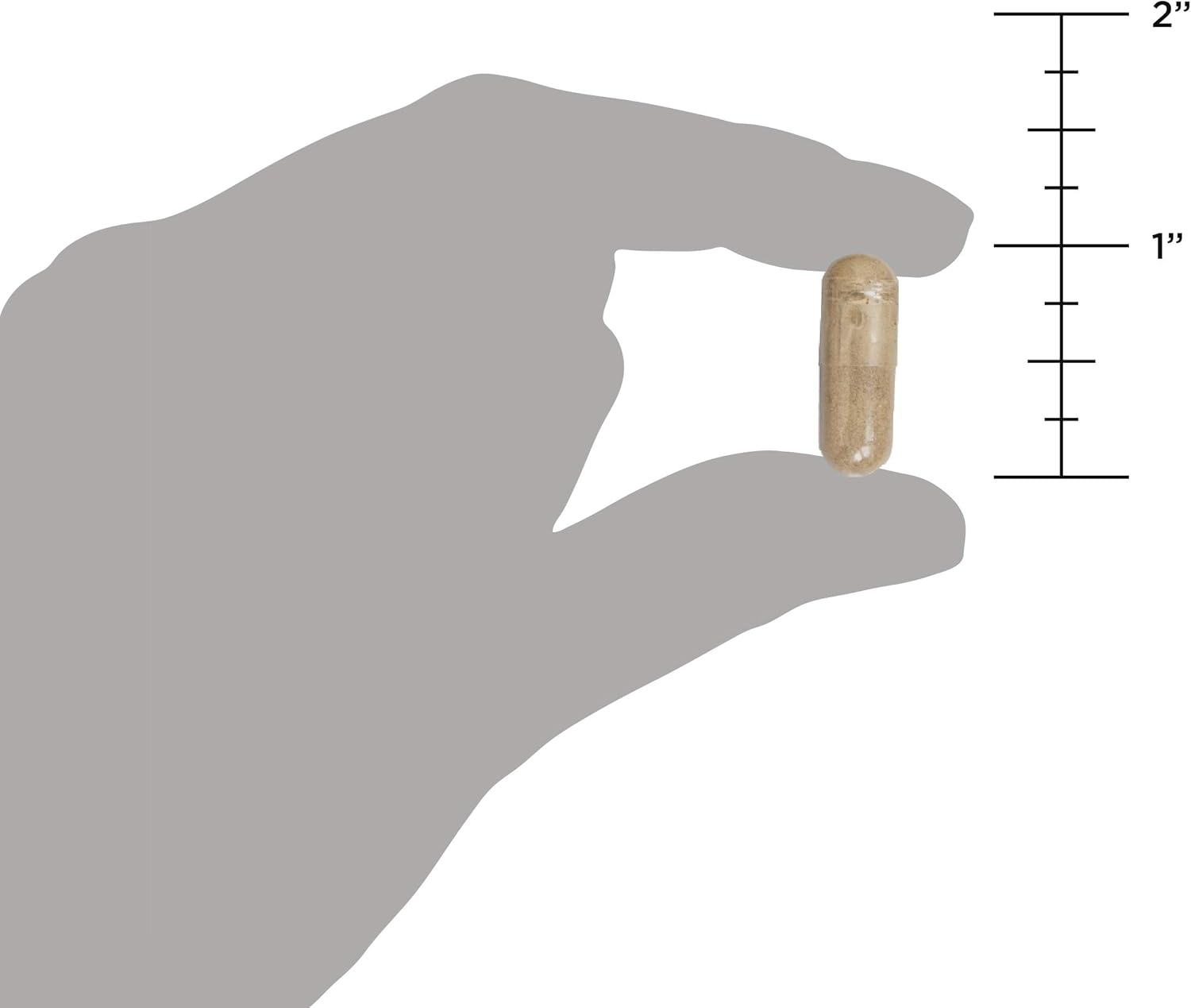 Ancient Nutrition Ultimate Probiotics with Turmeric, Ginger, and Fenugreek - Supports Digestion, Reduces Bloating and Diarrhea - 30 Capsules