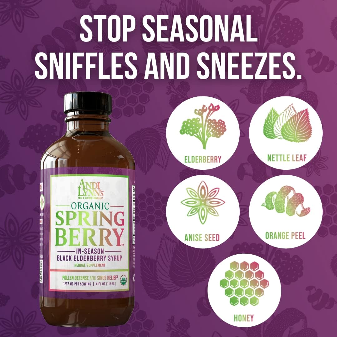 Andi Lynn's SpringBerry Organic Black Elderberry Syrup - Herbal Immune Support for Allergies - 4 oz Bottle