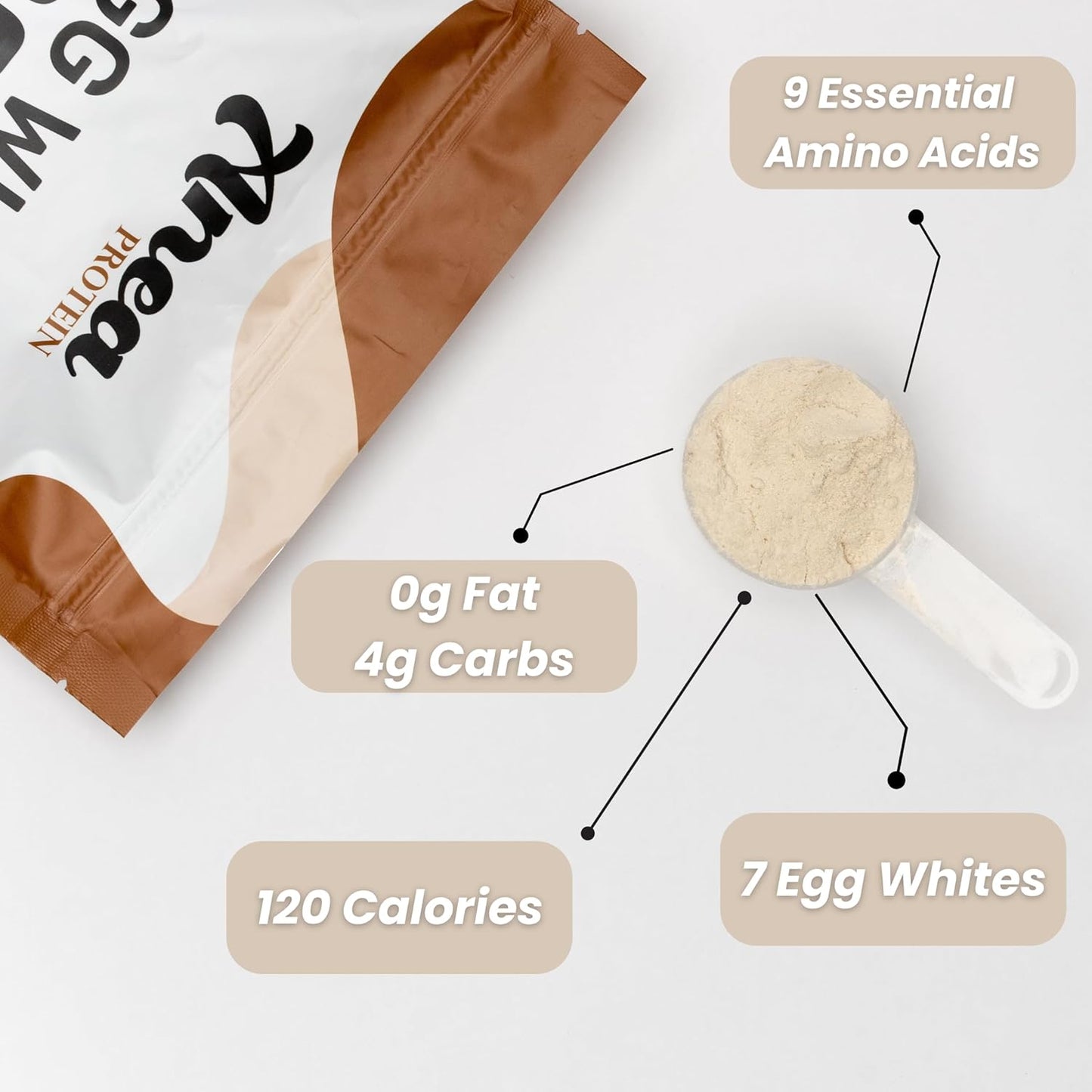 Anea Egg White Protein Powder - 25g Protein, Dairy Free, Gluten Free, Fat Free, Amino Acids, High Biological Value - 1.5 Pound (Strawberry)