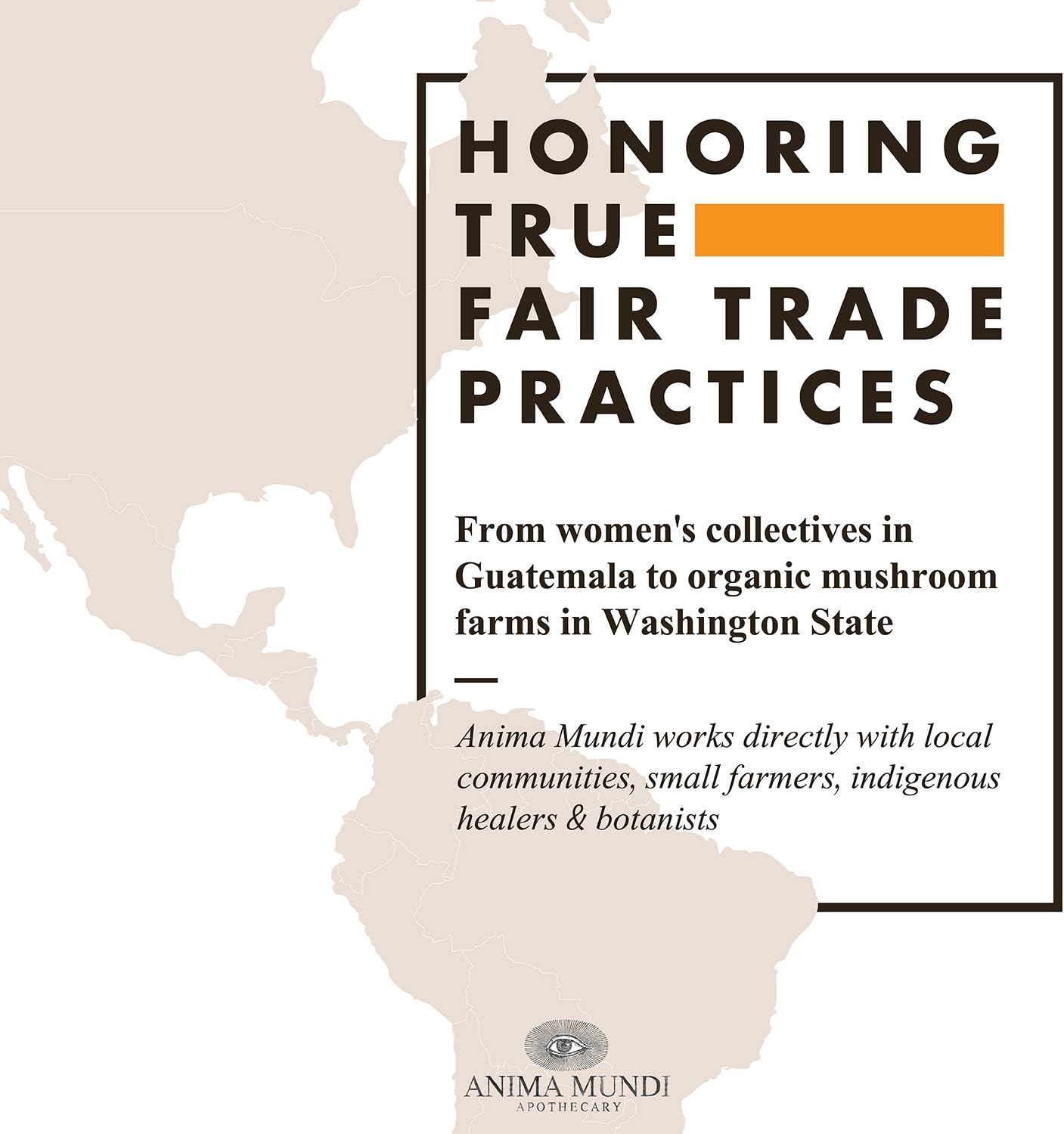 Anima Mundi Apothecary Lucid Dream Elixir: Third Eye Tonic for Visionary Sleep (2 oz)