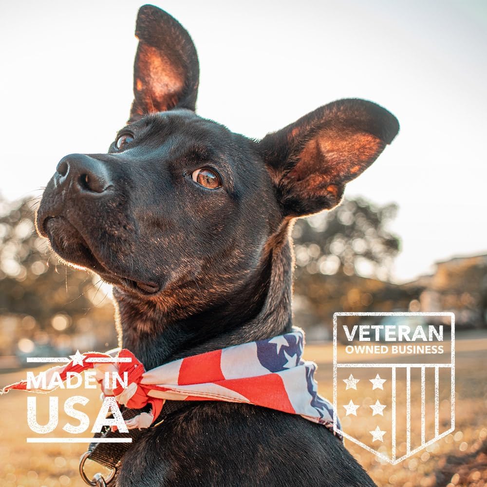 Antarctic Krill Oil Omega 3-6-9 Skin & Coat Supplement for Dogs - Allergy Relief Chews, 120 Count