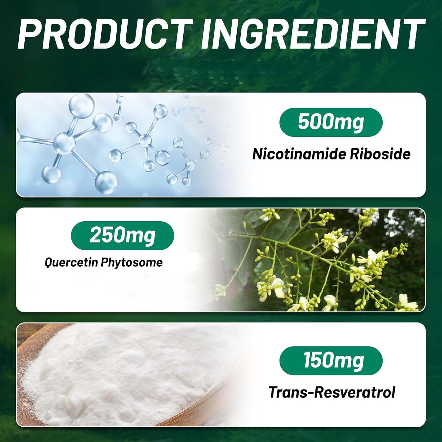 Anti-Aging Energy Focus Supplement with NMN Alternative, Nicotinamide Riboside Resveratrol, and Quercetin