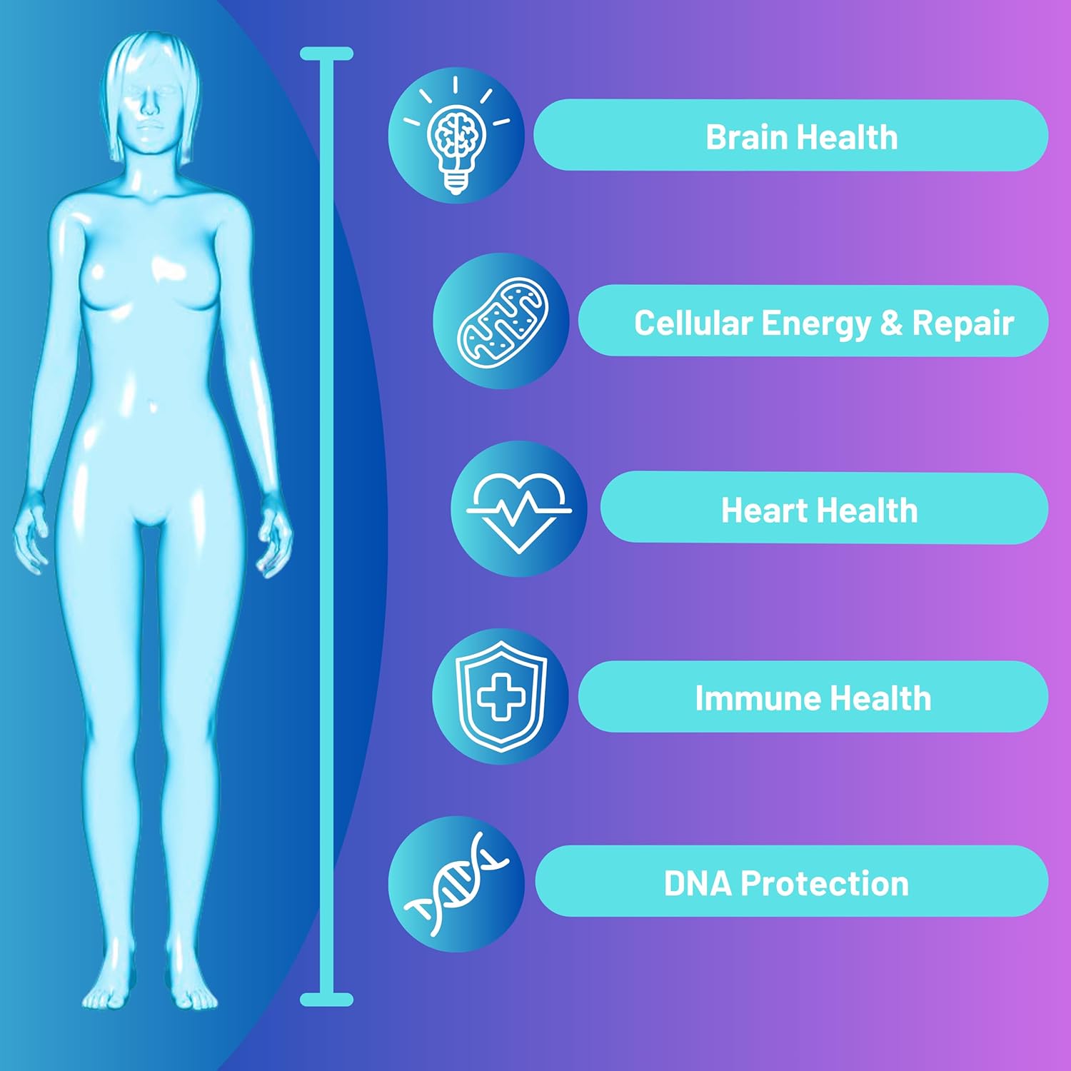 Anti Aging NAD Supplement with Nicotinamide Riboside, Resveratrol, Quercetin, and Betaine - RiboYOUNG™ Formula