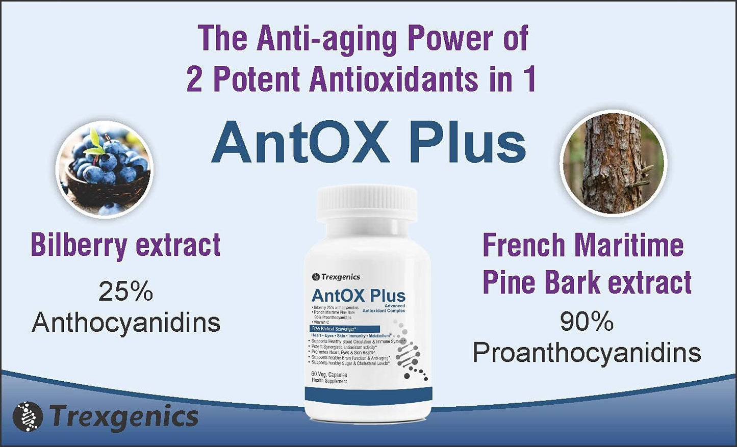 Antioxidant Complex with Bilberry, Pine Bark, and Vitamin C for Heart, Eyes, Skin, Immunity, and Metabolism - 60 Vcaps