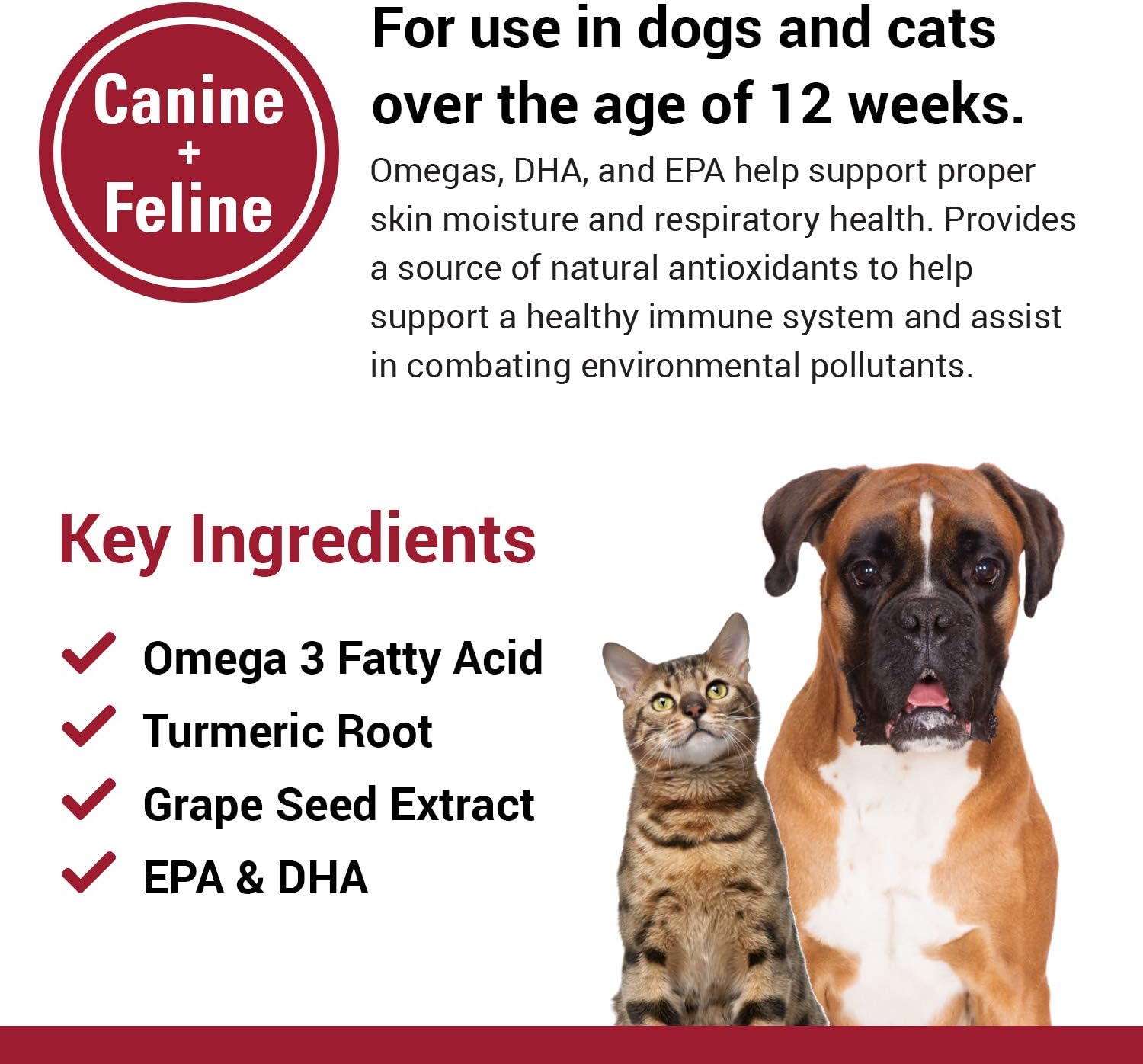 Antioxidant-Rich Skin & Coat Support Soft Chews for Cats & Dogs - Allergy Relief Supplement for Pet Respiratory Health - 90 Ct.