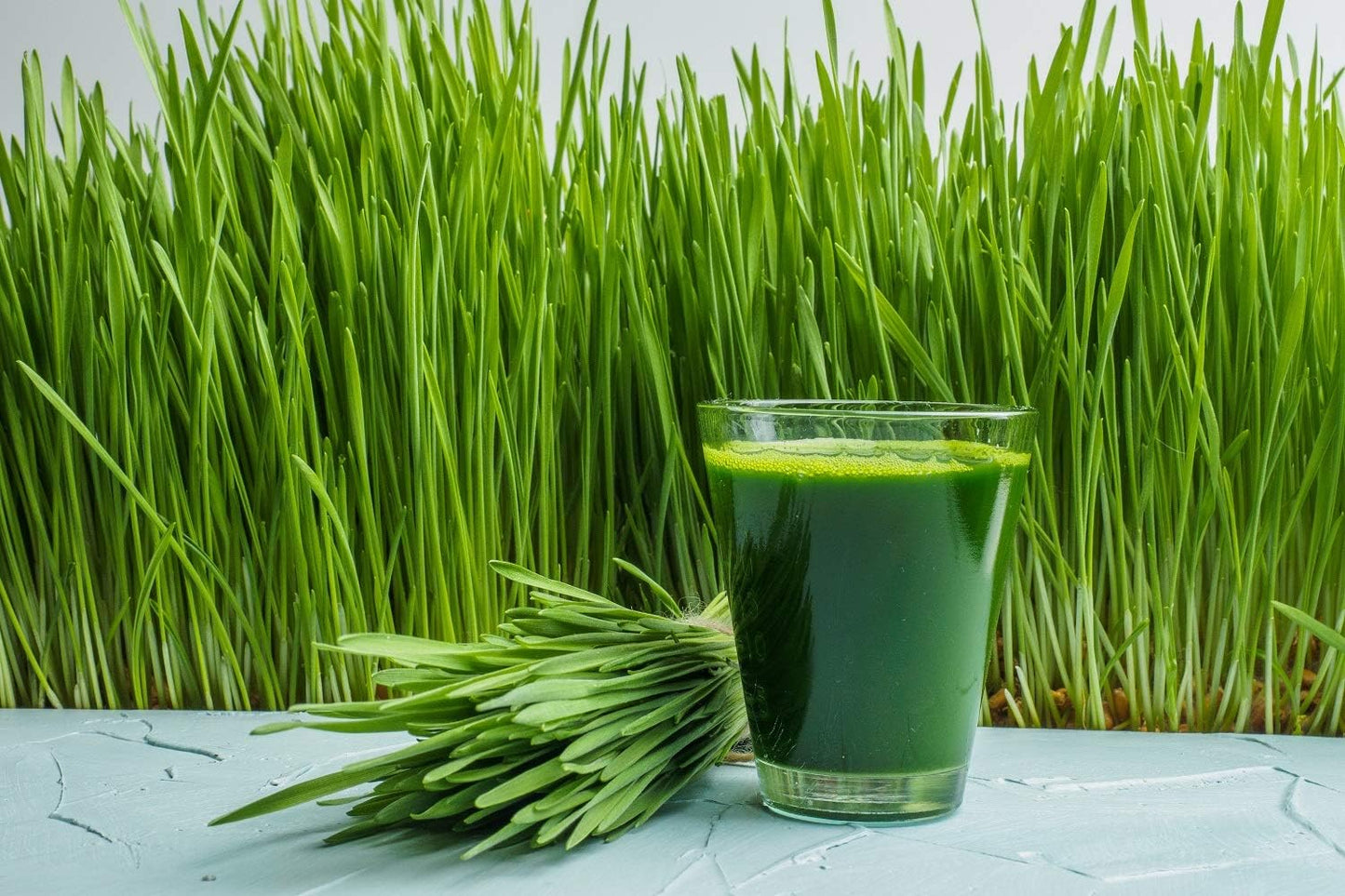 Antler Farms Organic New Zealand Wheatgrass Powder - 200g, 40 Servings - Raw, Vegan, Gluten Free, High Chlorophyll - Detox, Essential Amino Acids, Minerals - Nutrient Rich Wheat Grass