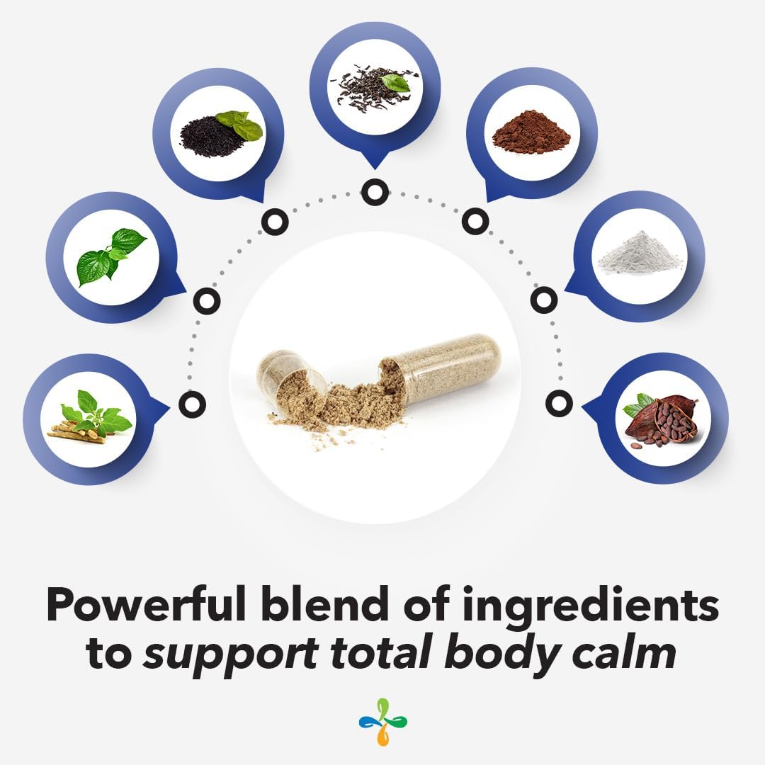 Anxie-T Stress Relief Supplement - Supports Mood, Mental Focus - Calm, Relaxed - Eases Tension, Nervousness - Ashwagandha, Kava Kava, GABA, L-Theanine - 60 Capsules